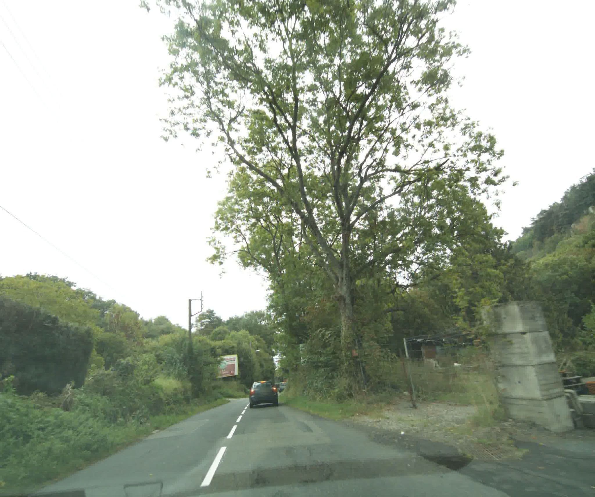 Street view near Classic Driver Home, Royat — © sogefi (CC BY-SA · Mapillary)