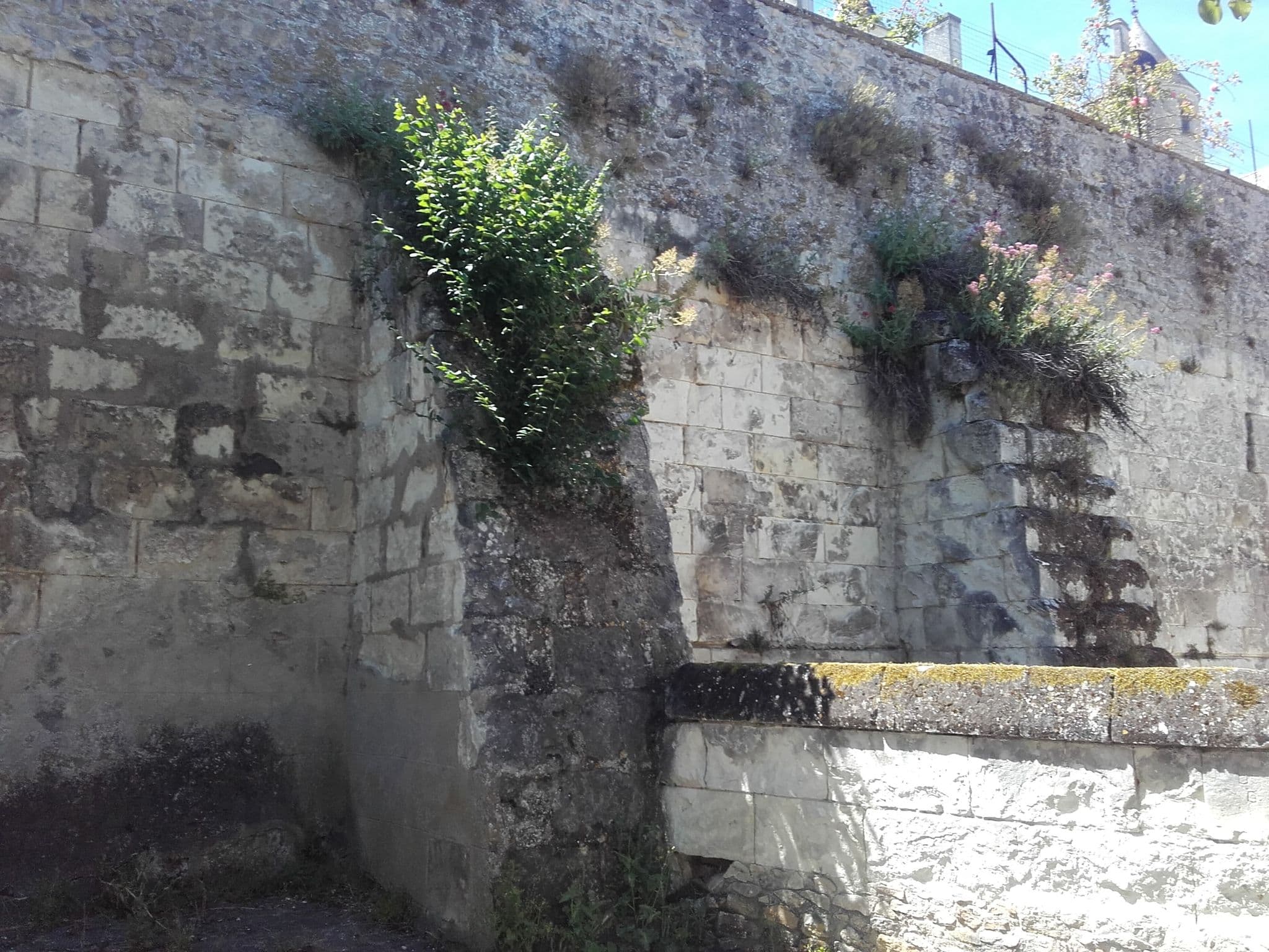 Street view near The Originals Boutique, Hôtel George Sand, Loches (Inter-Hotel), Loches — © cyrille37 (CC BY-SA · Mapillary)