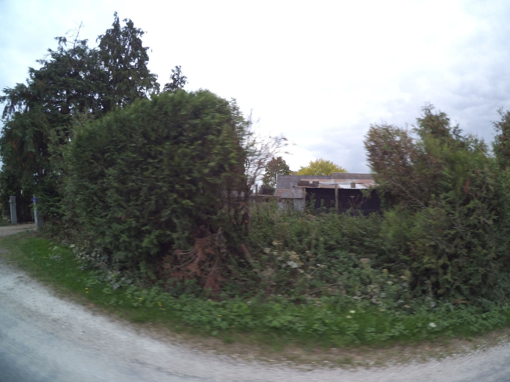 Street view near La Ferme aux Oies, Reugny — © stephanep (CC BY-SA · Mapillary)