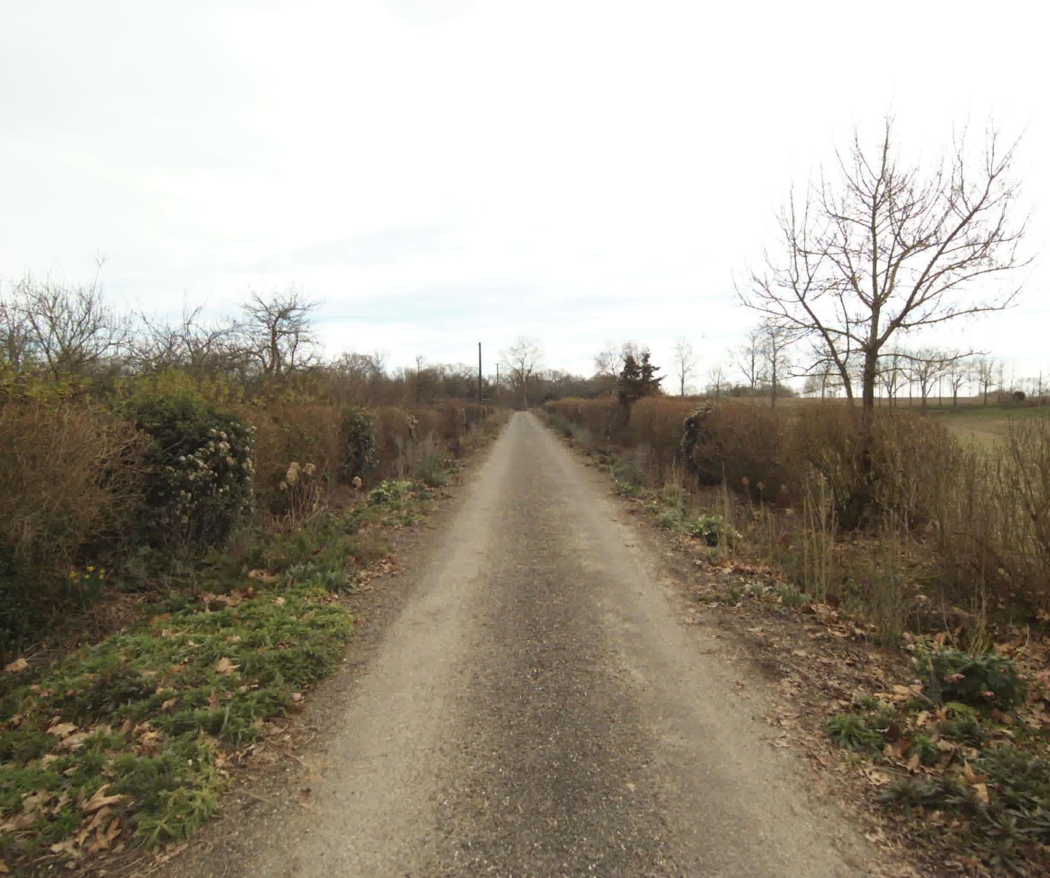 Street view near Gîte de Petit Départ, Cazaubon — © sogefi (CC BY-SA · Mapillary)