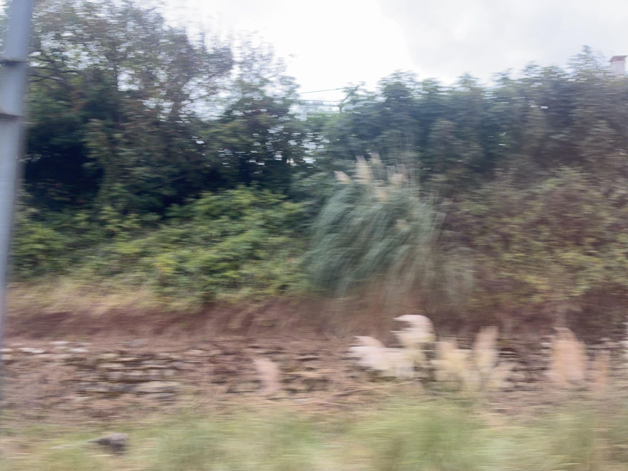 Street view near Domaine Koskenia, Guéthary — © miguel_andrade (CC BY-SA · Mapillary)