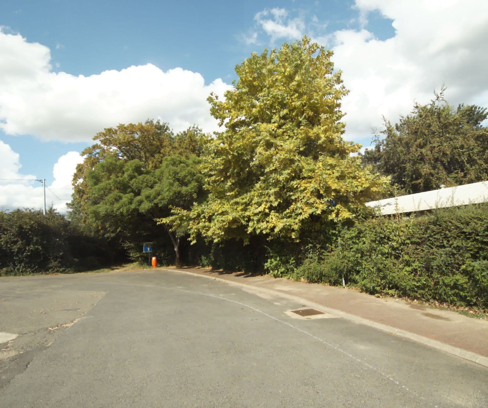Street view near Tente Ludistay, Tournus — © sogefi (CC BY-SA · Mapillary)