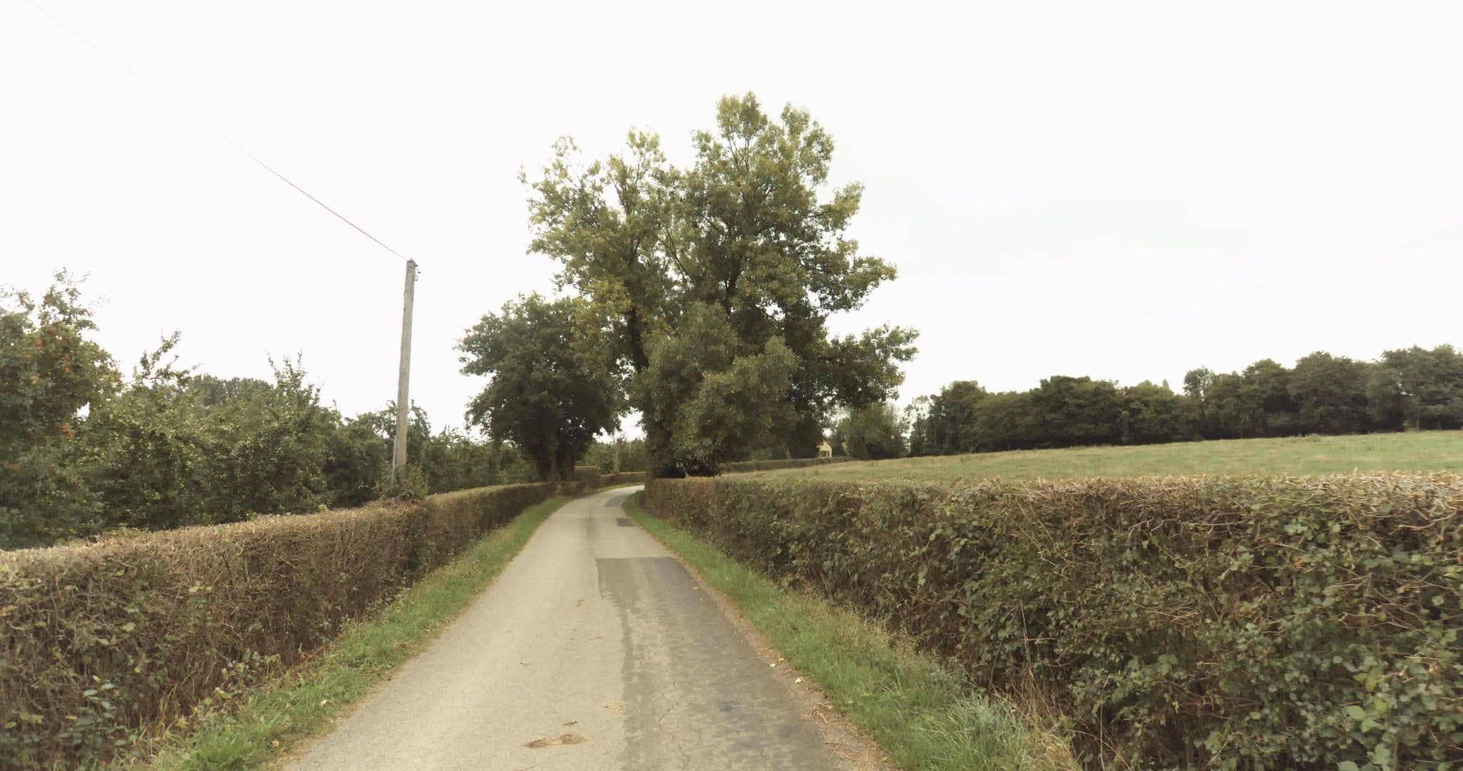 Street view near Feret Jean Pierre, Gacé — © sogefi (CC BY-SA · Mapillary)