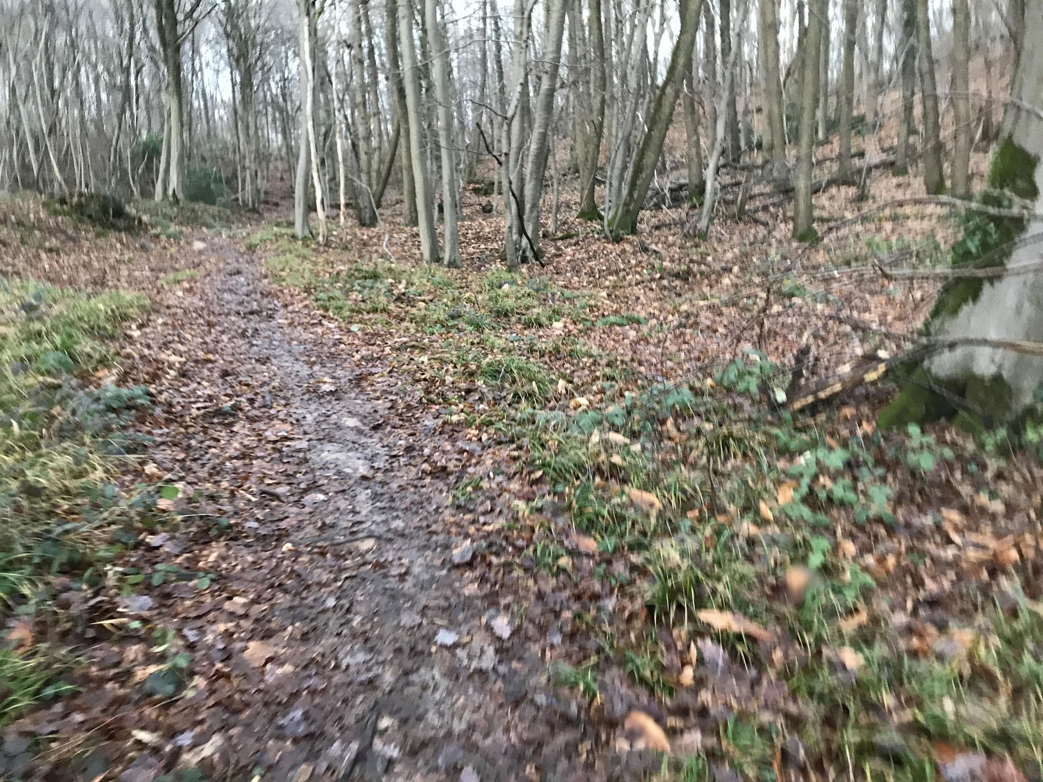 Street view near Kyriad Verrieres-Le-Buisson, Verrières-le-Buisson — © josmougn (CC BY-SA · Mapillary)