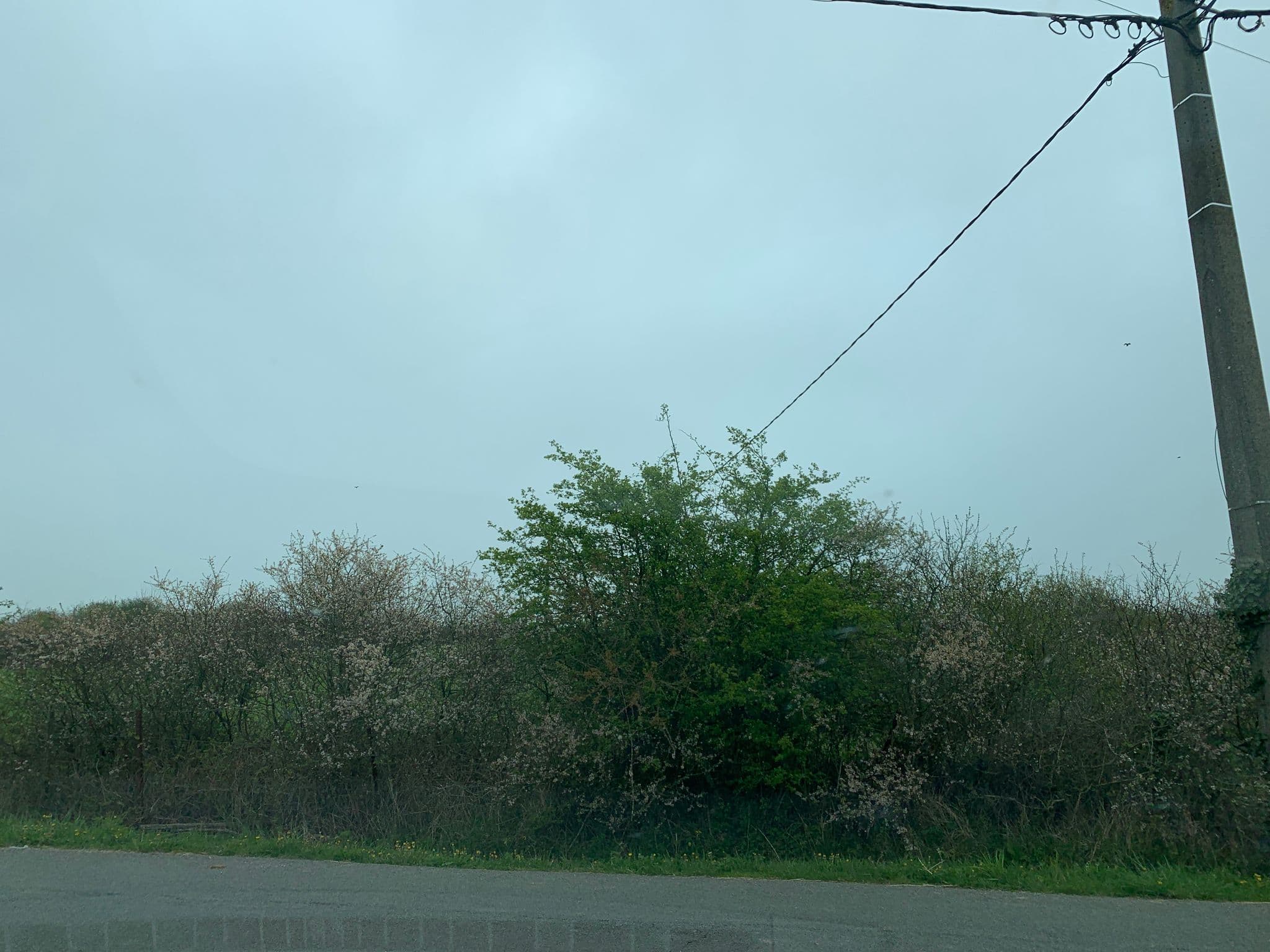 Street view near Hotel Ferme De La Raterie, Rety — © noel (CC BY-SA · Mapillary)