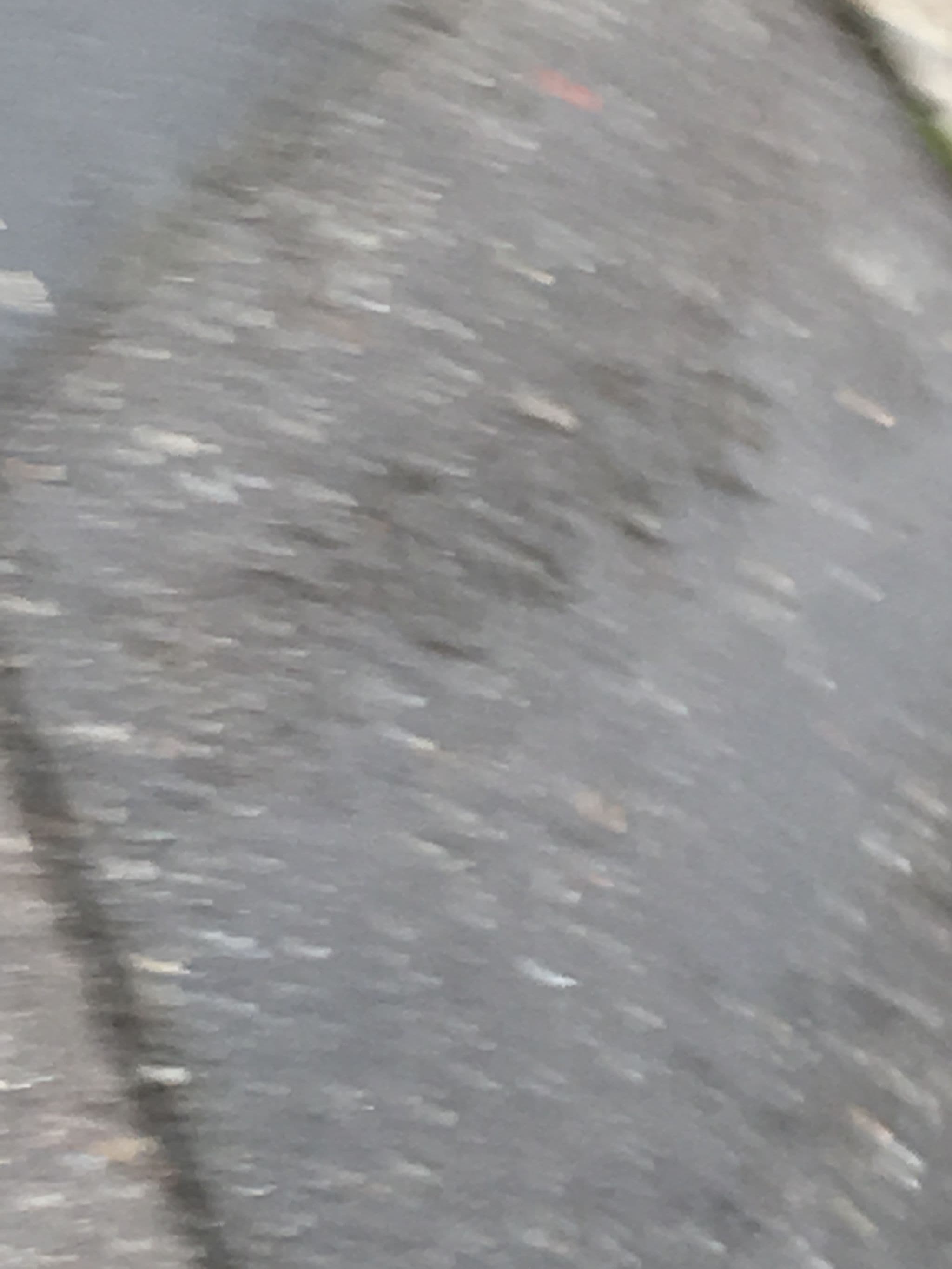 Street view near Eglantine et Nicolas, Paris 18 Buttes-Montmartre — © nattes (CC BY-SA · Mapillary)