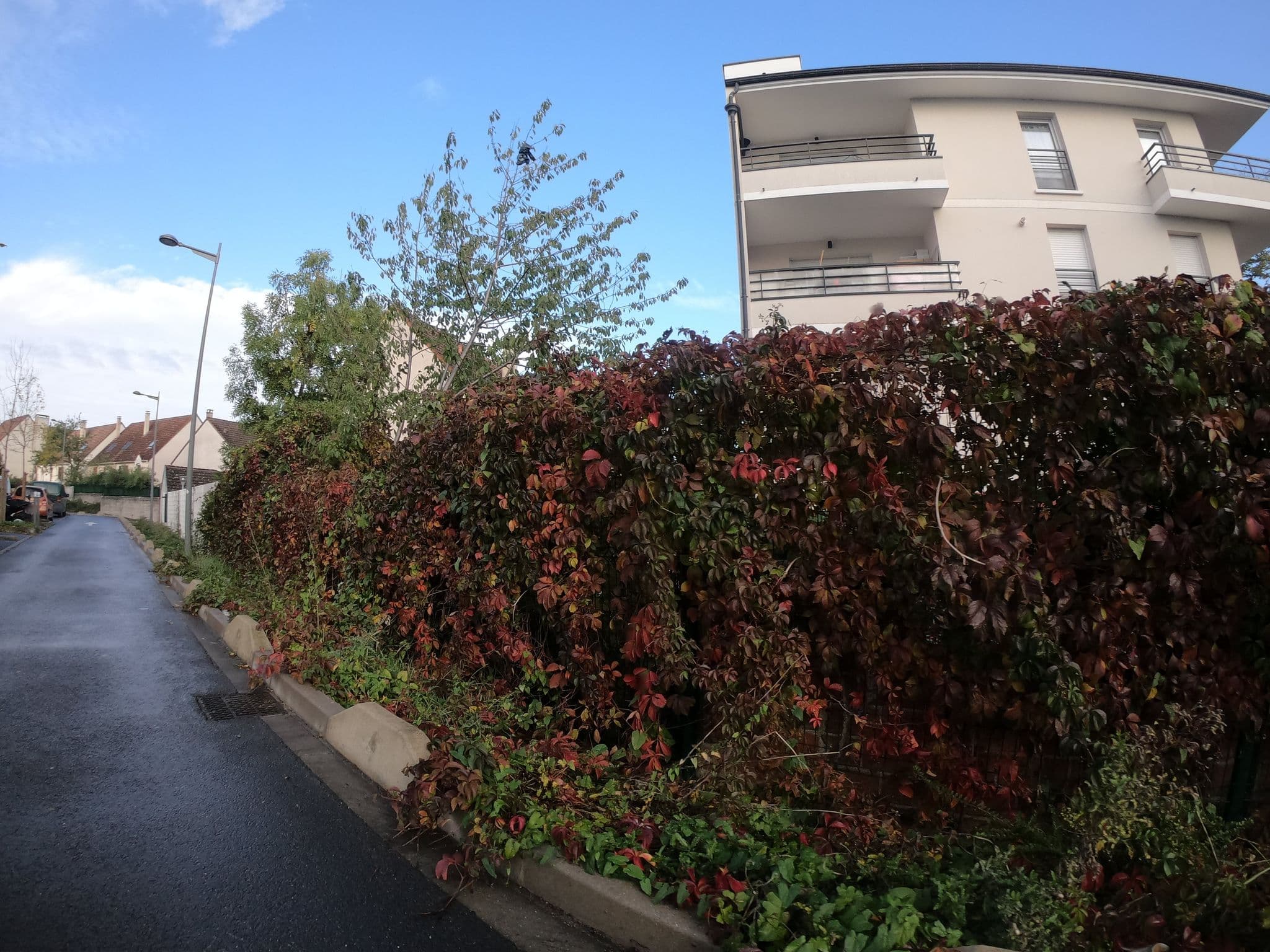Street view near Green Hill Hostel, Noisy-le-Grand — © cartocite (CC BY-SA · Mapillary)