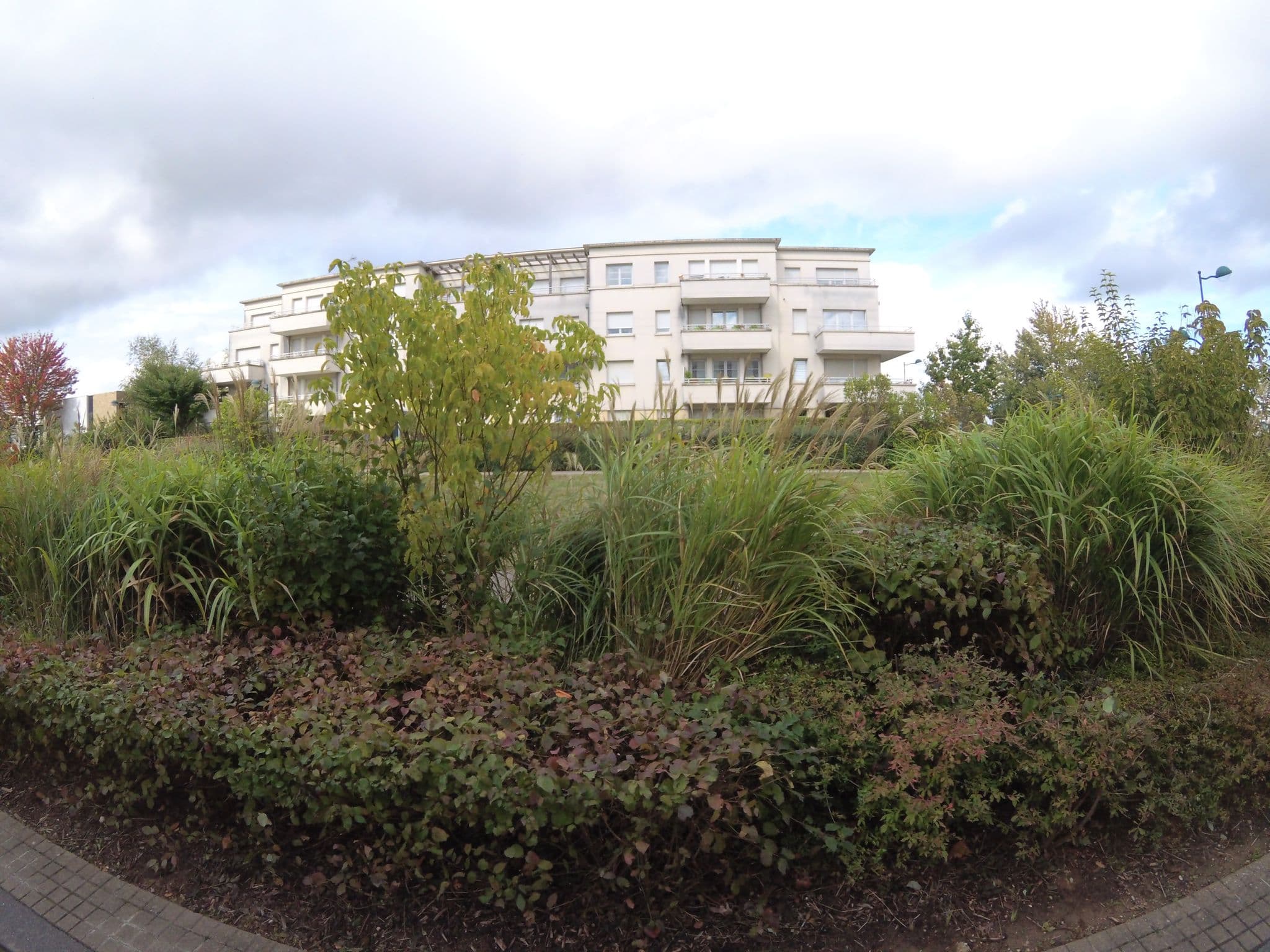 Street view near Studio Disneyland Paris, Serris — © stephanep (CC BY-SA · Mapillary)