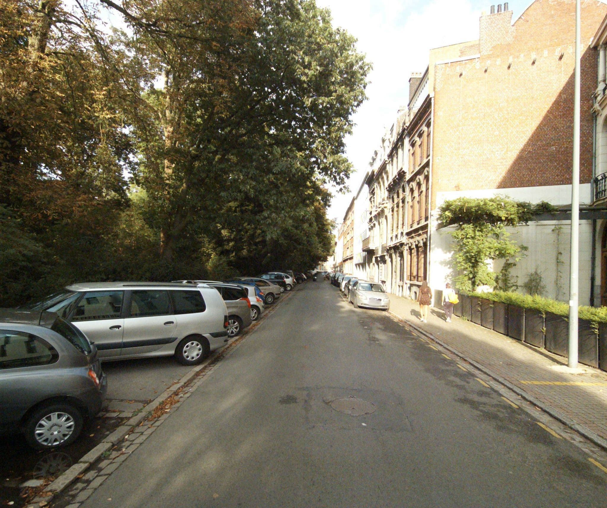 Street view near B&B la Maison du Jardin Vauban, Lille — © melimmergis (CC BY-SA · Mapillary)