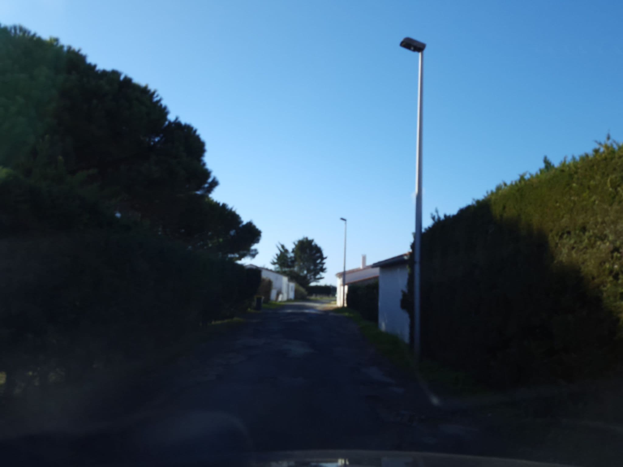 Street view near La Gaudinière, La Couarde-sur-Mer — © thibphil (CC BY-SA · Mapillary)