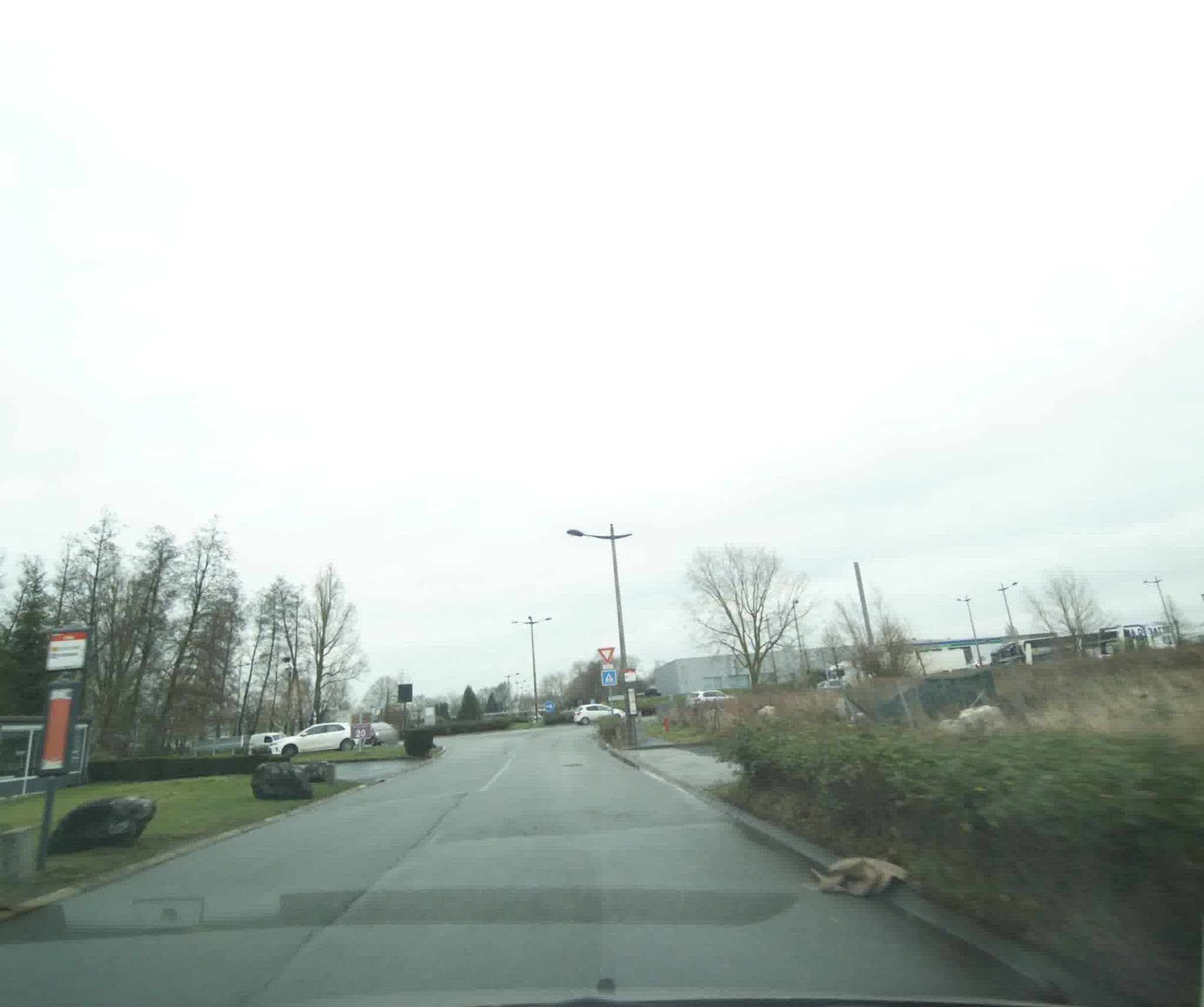 Street view near Campanile Valeiennes Sud - Rouvignies, Prouvy — © sogefi (CC BY-SA · Mapillary)