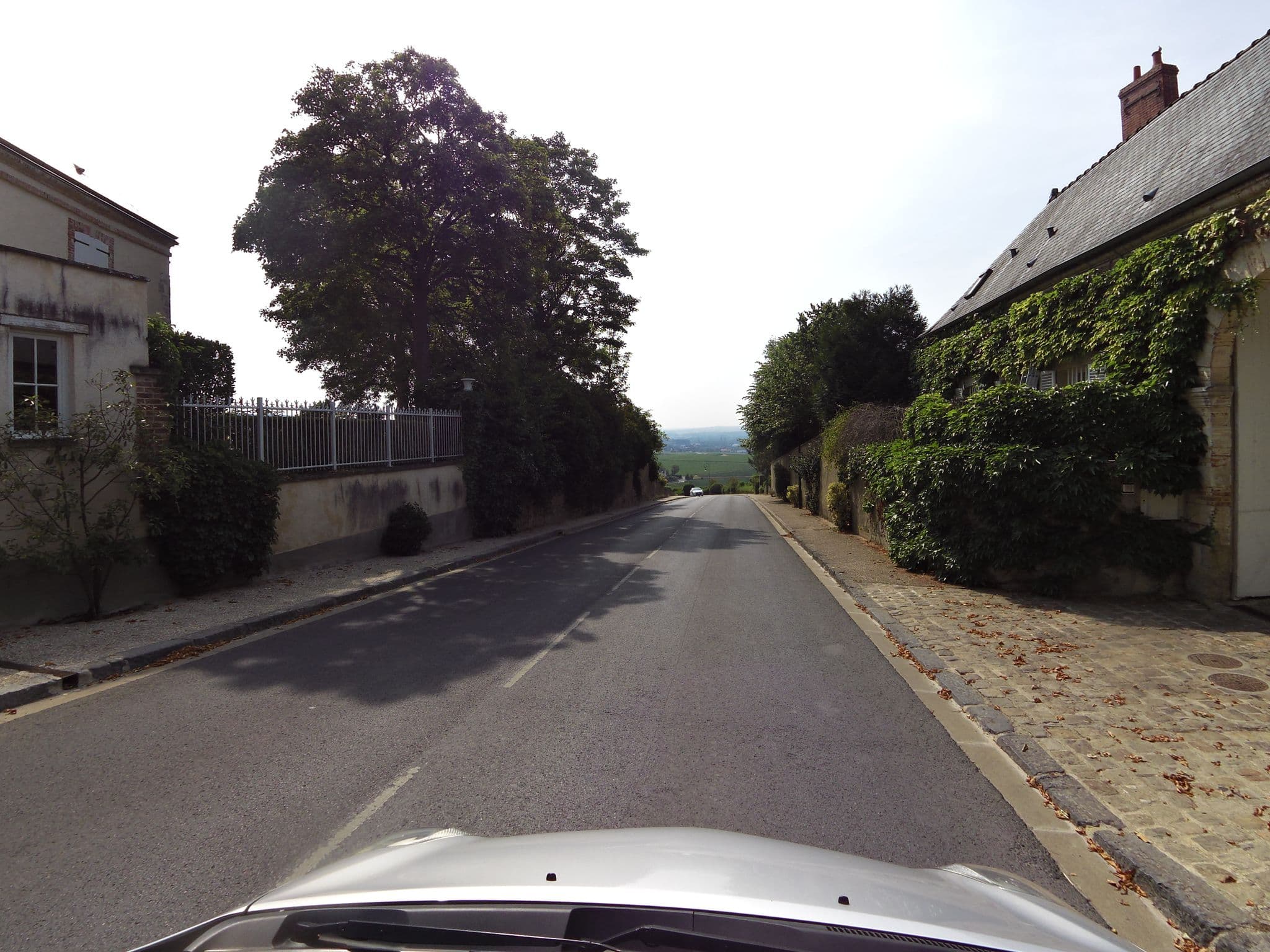 Street view near Le Clos des Armoiries, Dizy — © zors1843 (CC BY-SA · Mapillary)