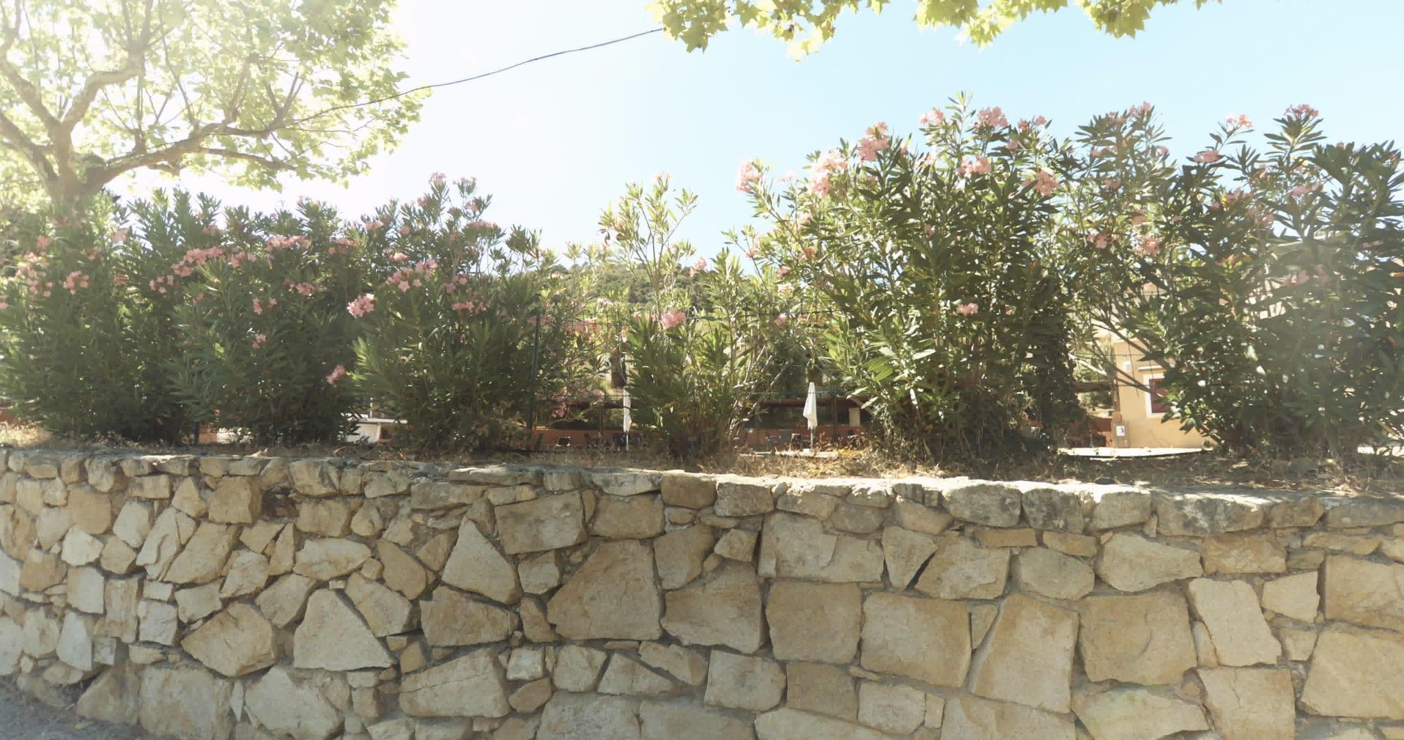 Street view near GRAF Air France, La Croix-Valmer — © sogefi (CC BY-SA · Mapillary)