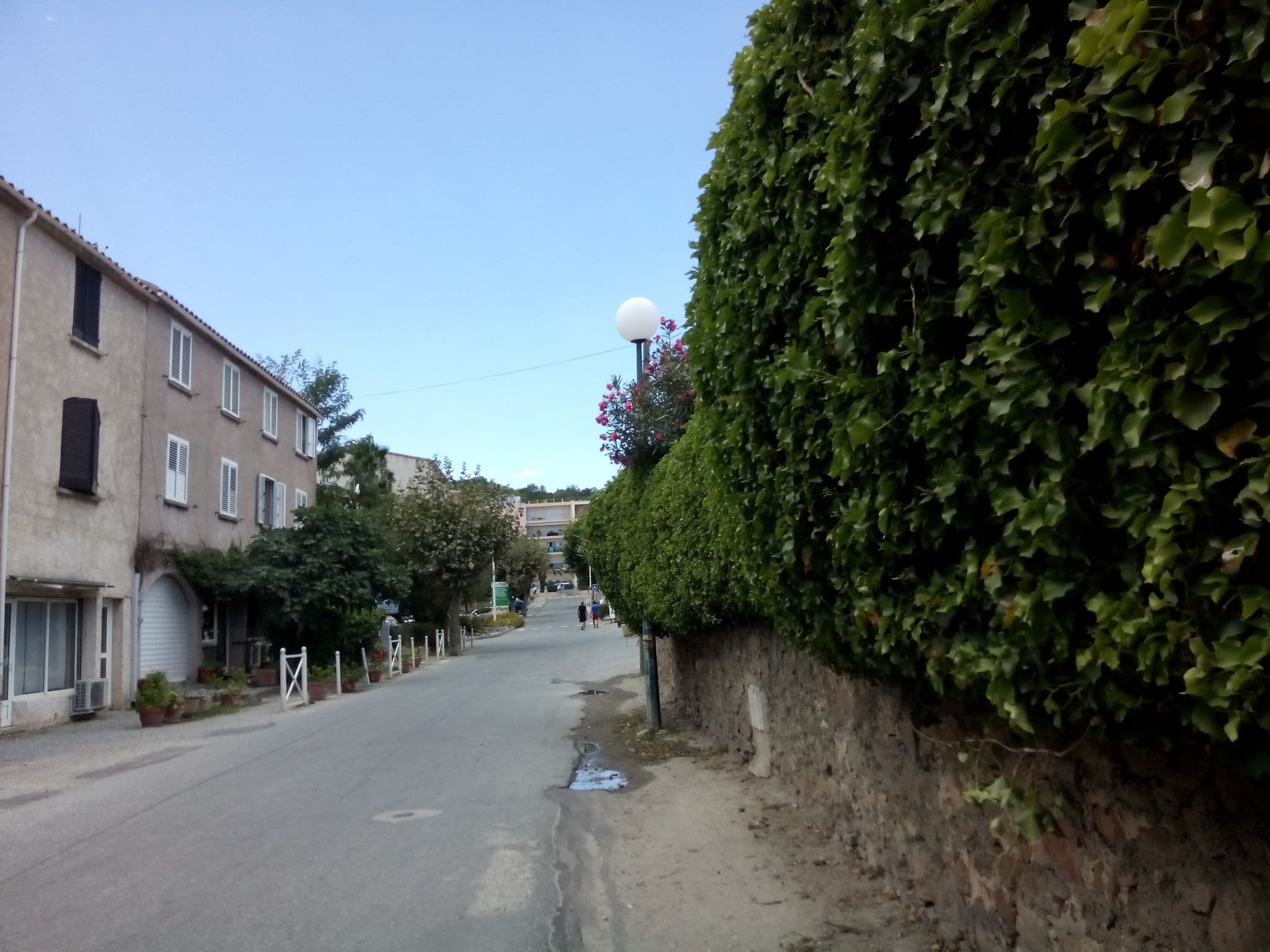Street view near Orsoni, Sari-Solenzara — © eliasp (CC BY-SA · Mapillary)