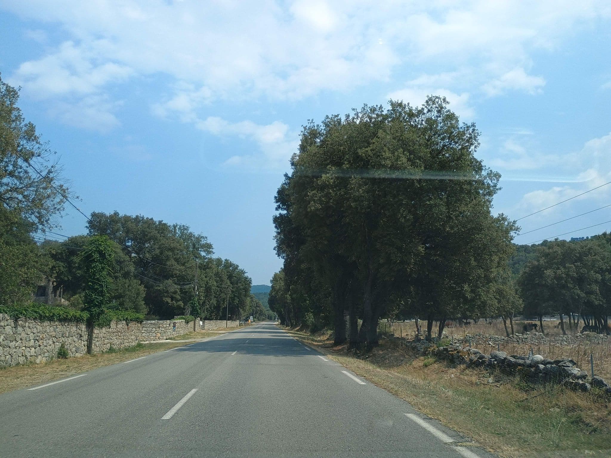 Street view near U Palazzu, Corte — © thetornado76 (CC BY-SA · Mapillary)