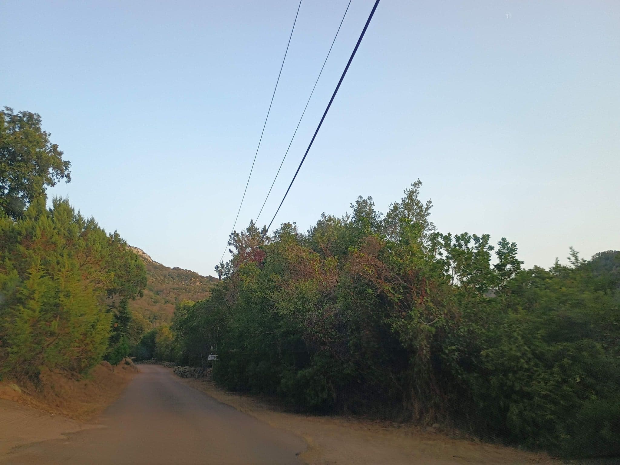 Street view near U Cantu di i Cardellini, Porto-Vecchio — © thetornado76 (CC BY-SA · Mapillary)