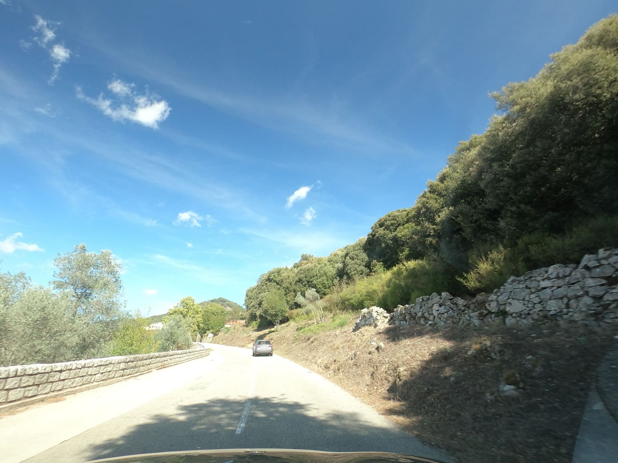 Street view near Oliveraie d'Olmiccia, Sartène — © canadarunner (CC BY-SA · Mapillary)