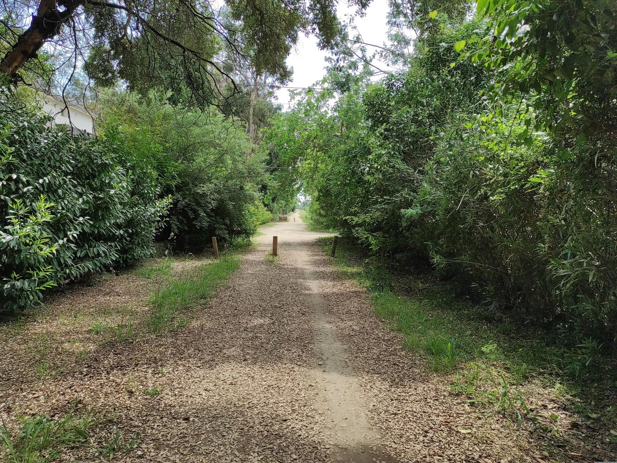 Street view near Résidence Valledoro, Cervione — © momix (CC BY-SA · Mapillary)