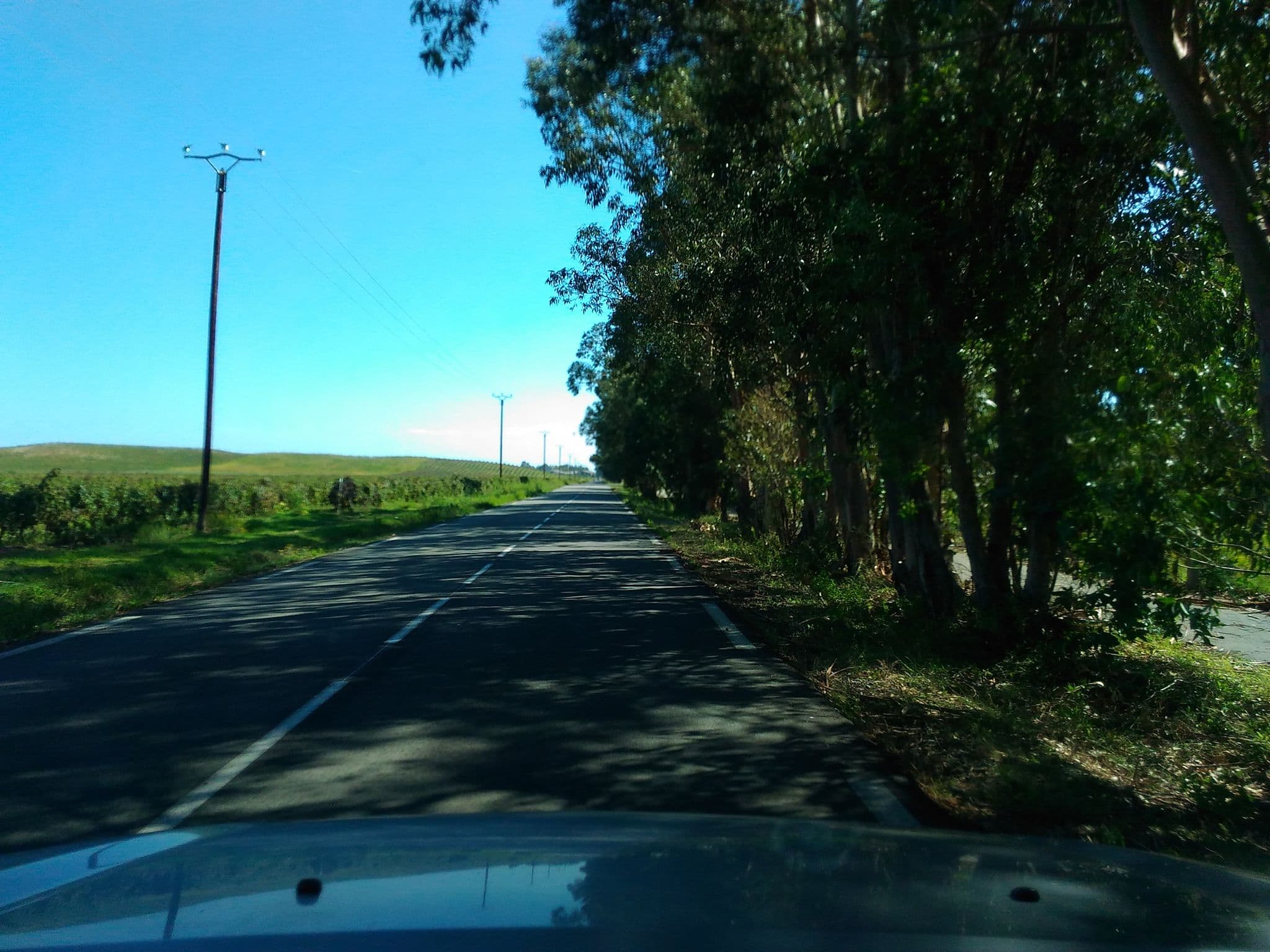Street view near E Cabanacce, Aléria — © momix (CC BY-SA · Mapillary)