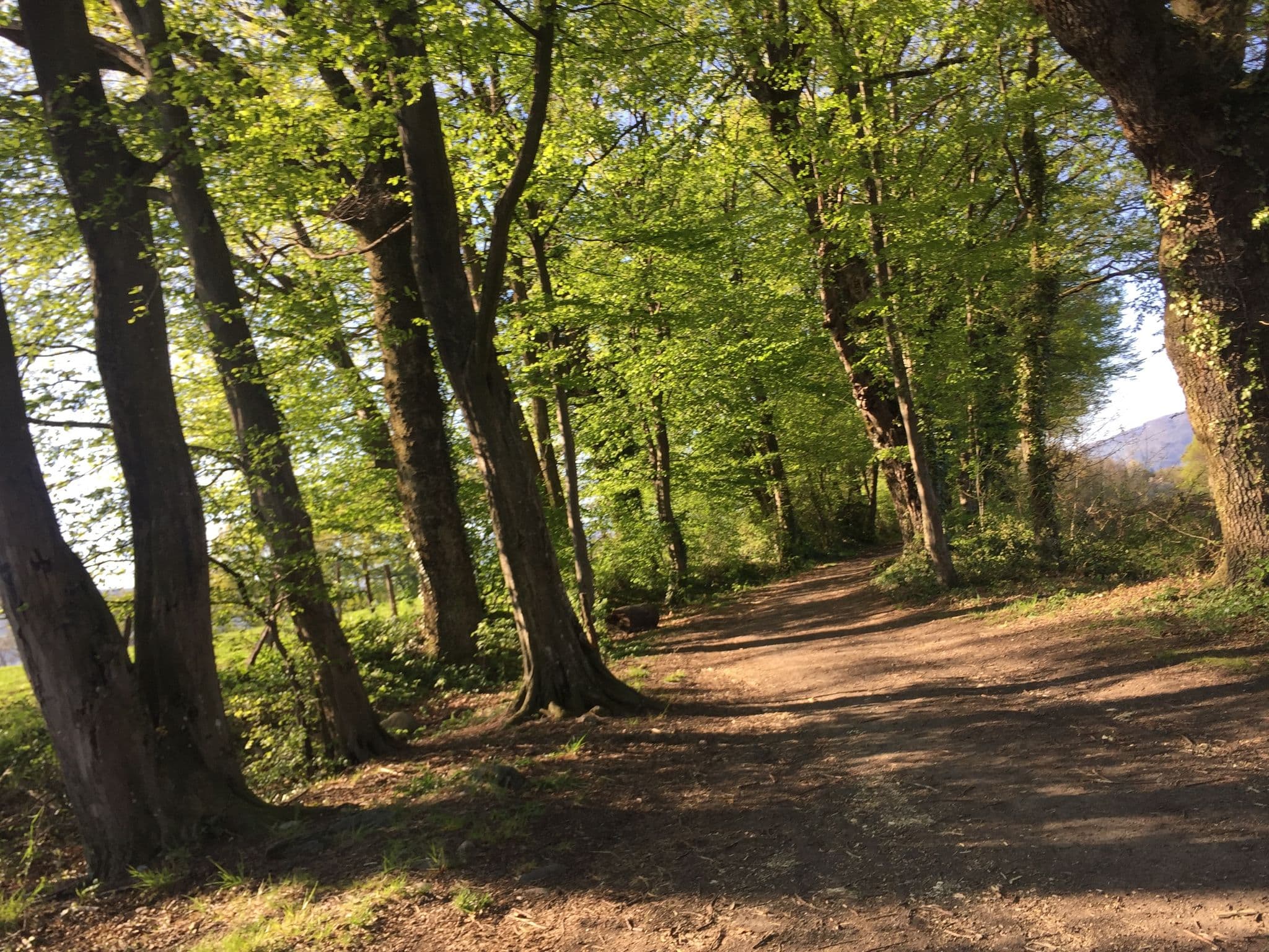 Street view near Ferme de Ramée, Challes-les-Eaux — © pgiraud (CC BY-SA · Mapillary)