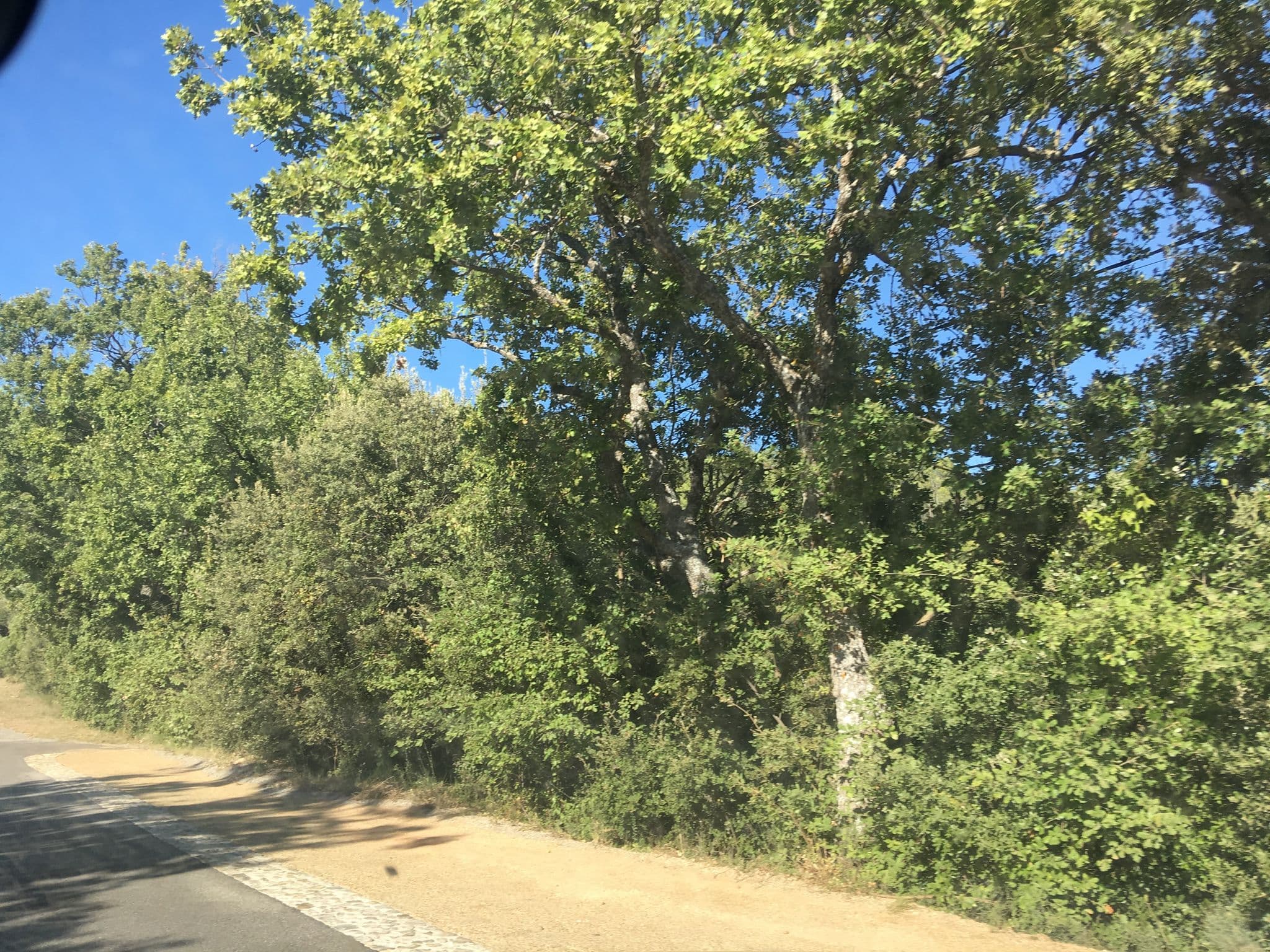 Street view near Club Belambra le Verdon, Riez — © phjarry (CC BY-SA · Mapillary)