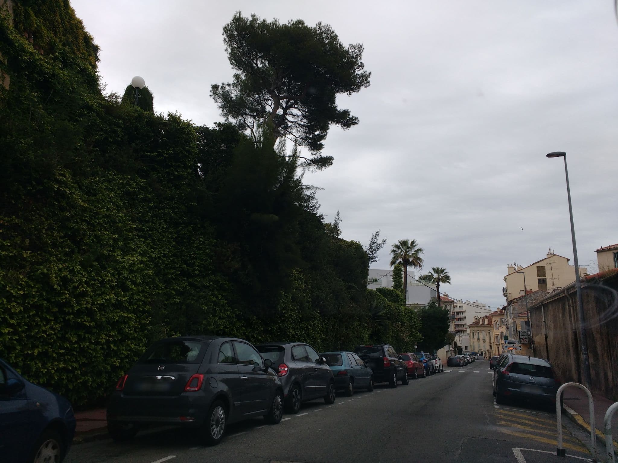 Street view near Appartement Mer et Palmiers, Cannes — © thetornado76 (CC BY-SA · Mapillary)