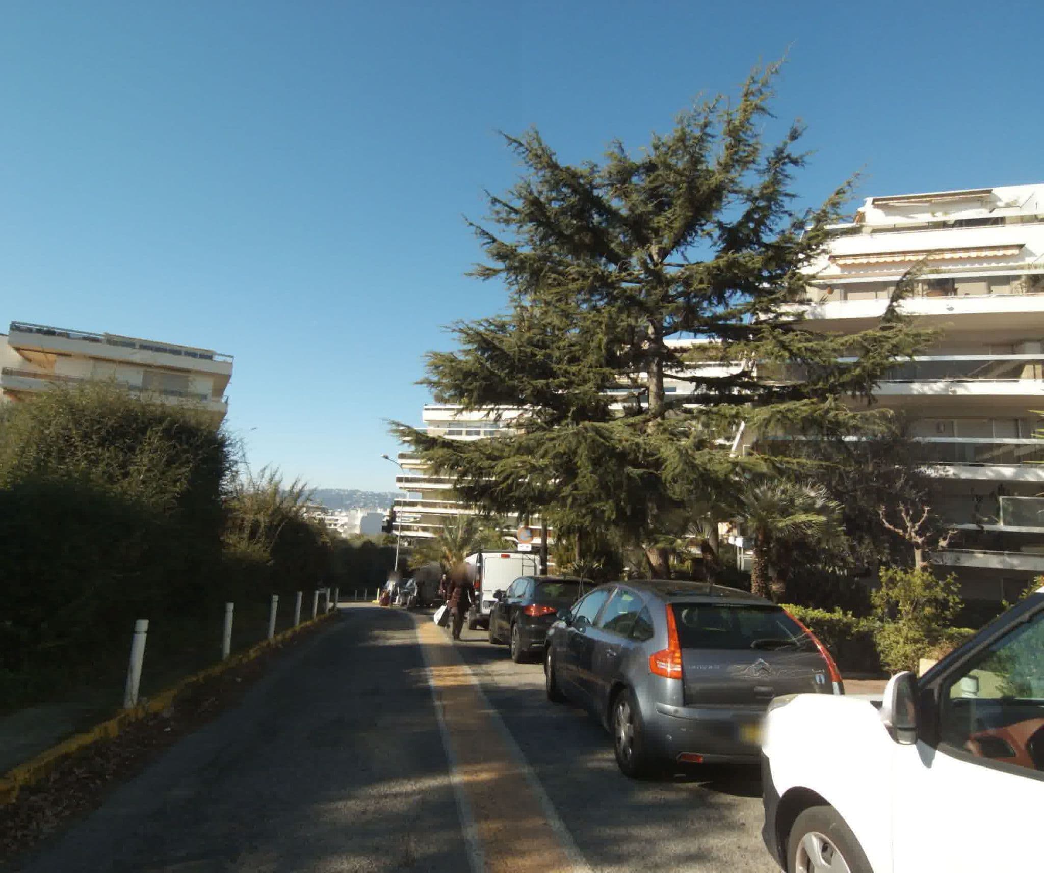 Street view near Corinthea, Juan-les-Pins — © sogefi (CC BY-SA · Mapillary)