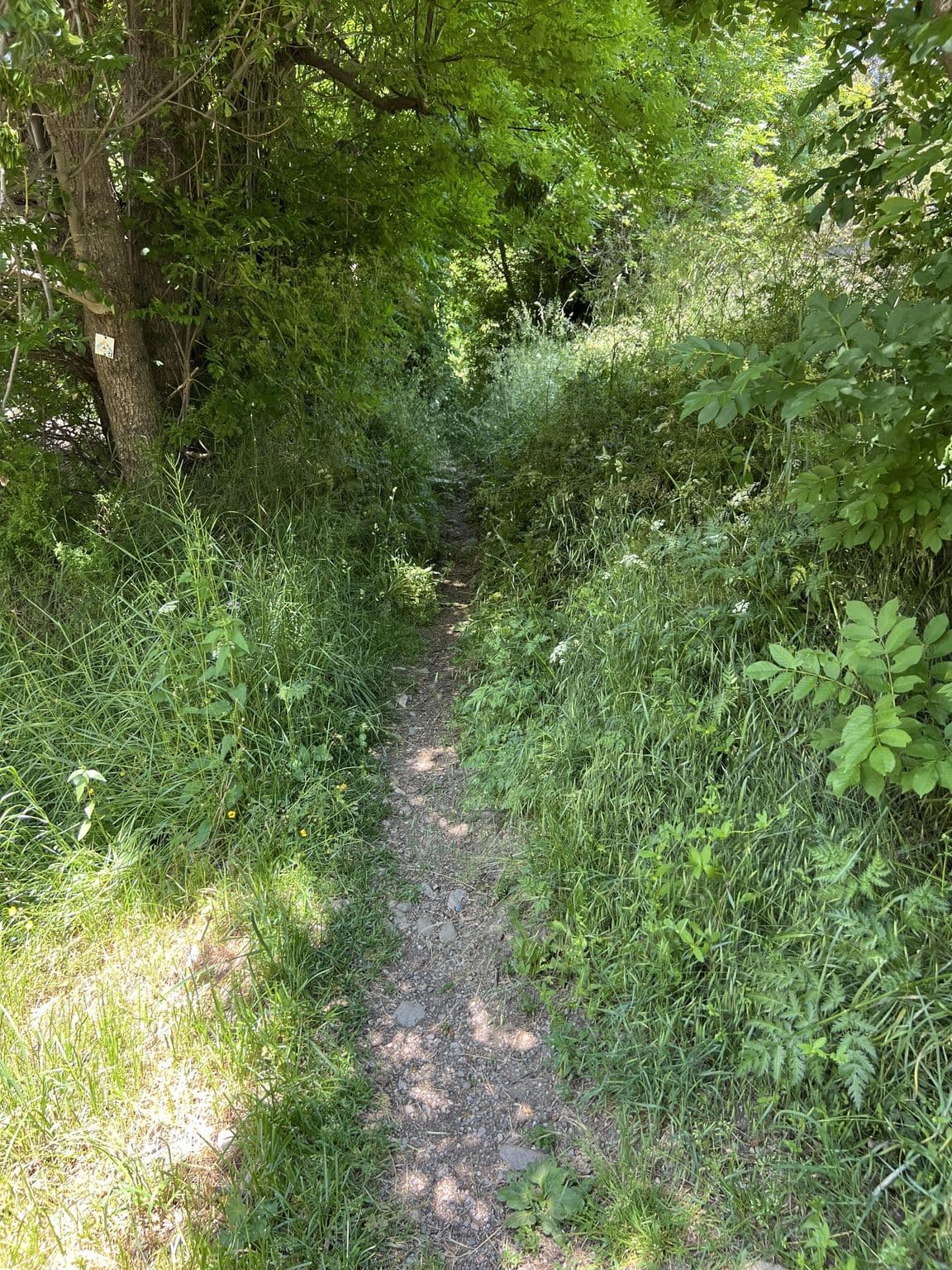 Street view near stinkende kamer, Saint-Chaffrey — © cabinetcourbi (CC BY-SA · Mapillary)