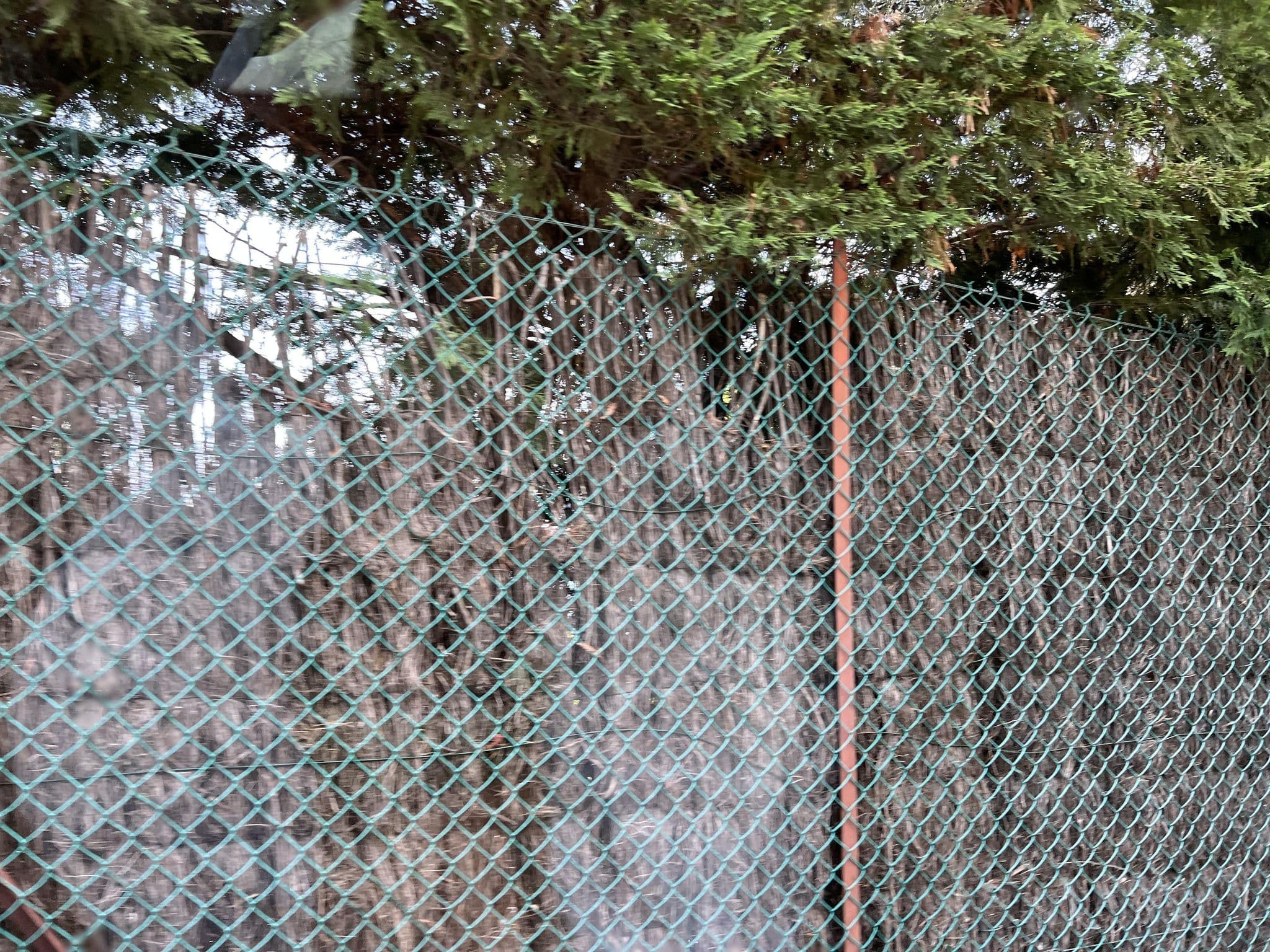 Street view near Pierre Et Vacances, Cap-d'Ail — © memorylost (CC BY-SA · Mapillary)