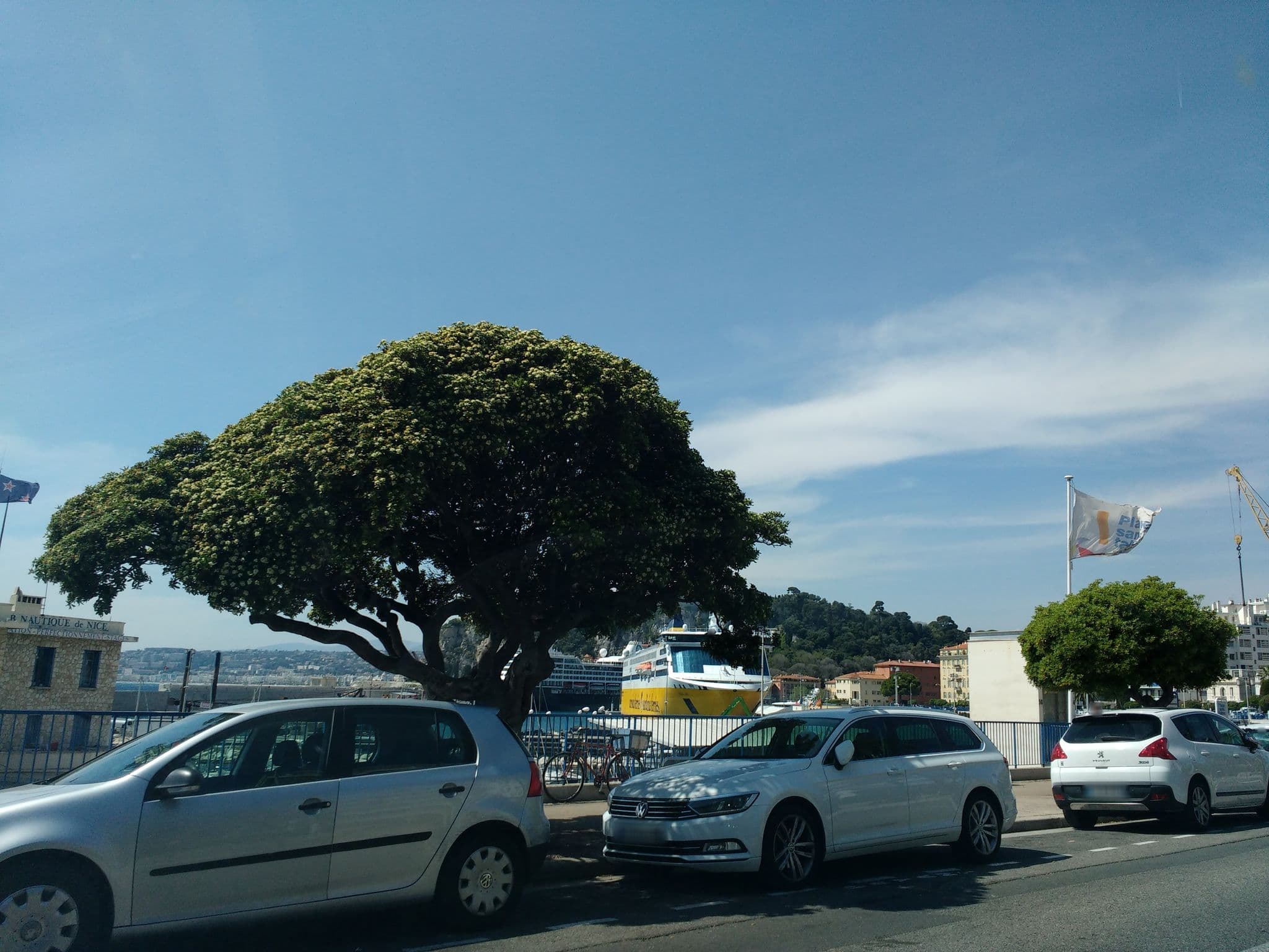 Street view near MyNice Vacances Studio Nautic, Quartier du Port — © thetornado76 (CC BY-SA · Mapillary)