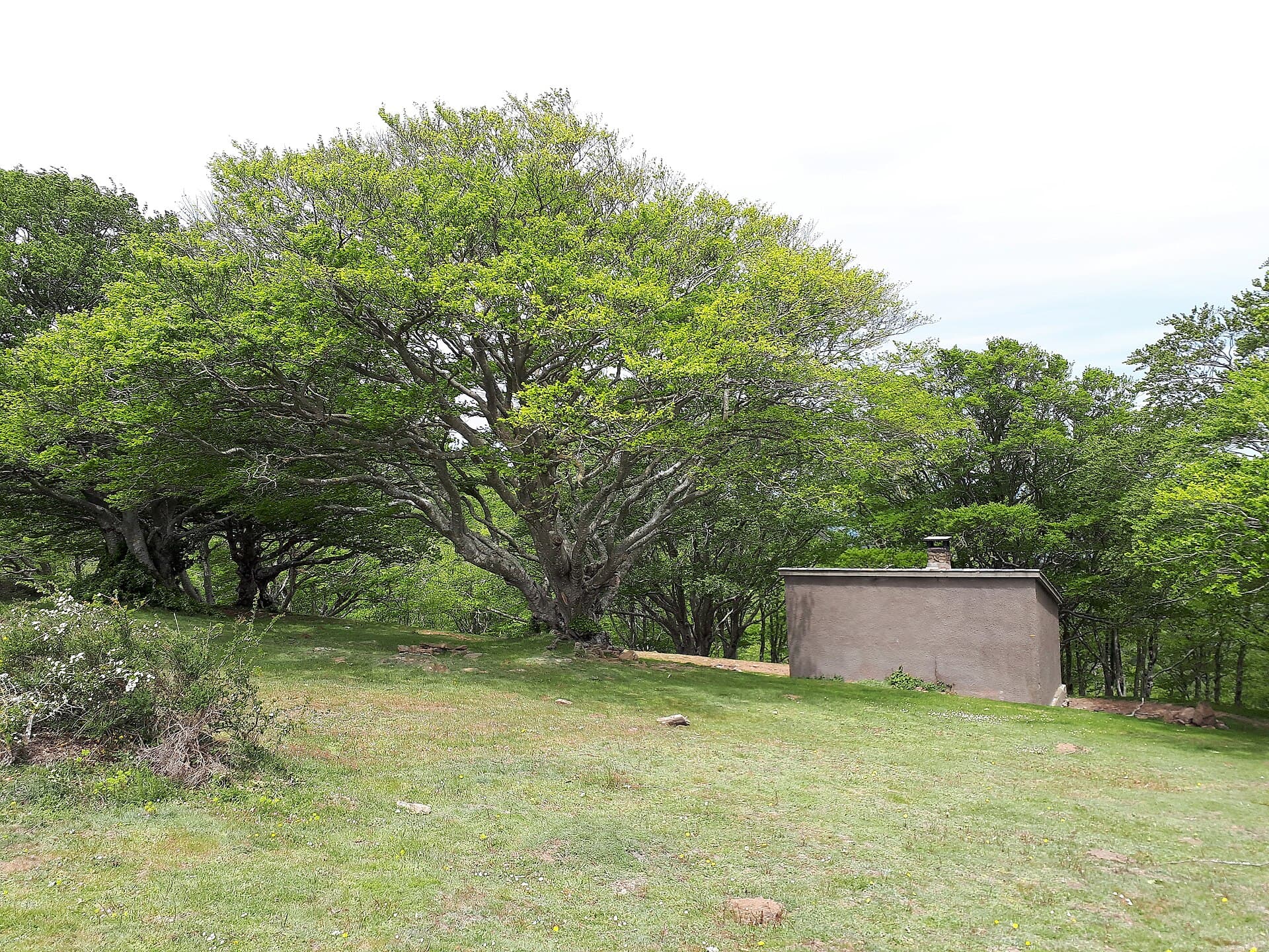 Refuge de la Tagnarède (via Wikimedia Commons, CC BY-SA 4.0)