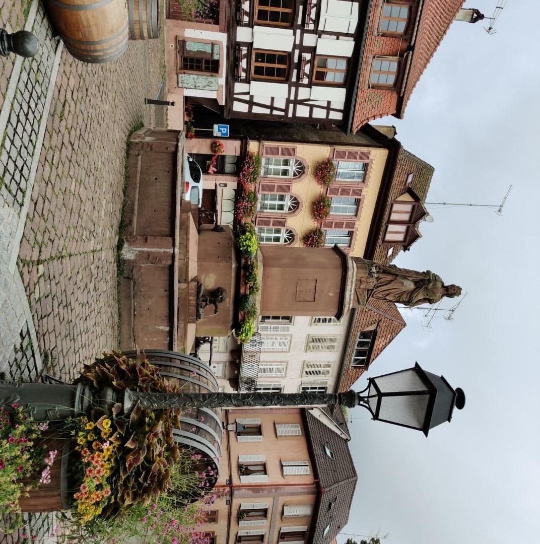 Street view near Hôtel du Mouton, Ribeauvillé — © GemZwSetz (CC BY-SA · Mapillary)