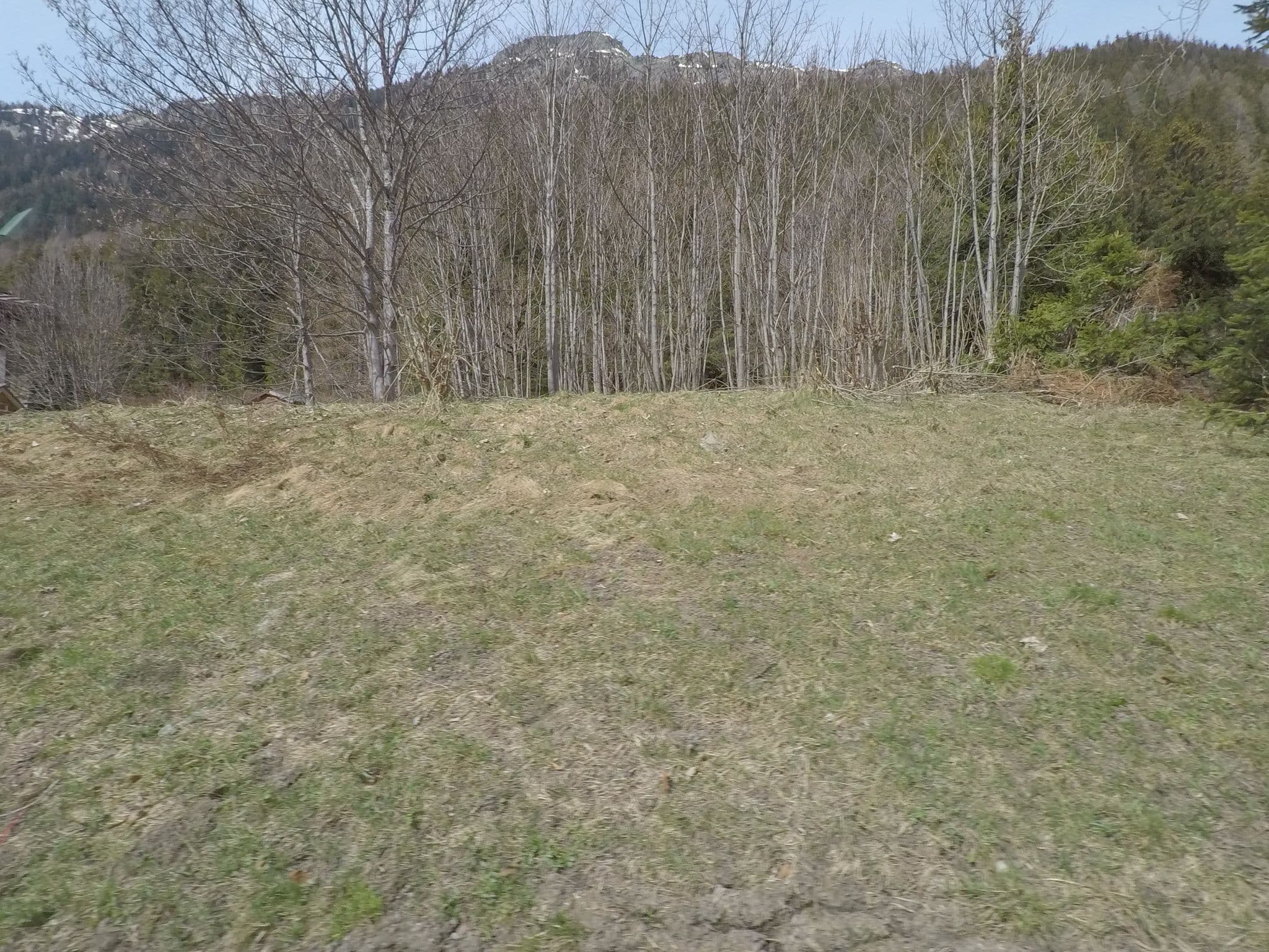 Street view near Chalet les Fougères, Chamonix-Mont-Blanc — © esario (CC BY-SA · Mapillary)