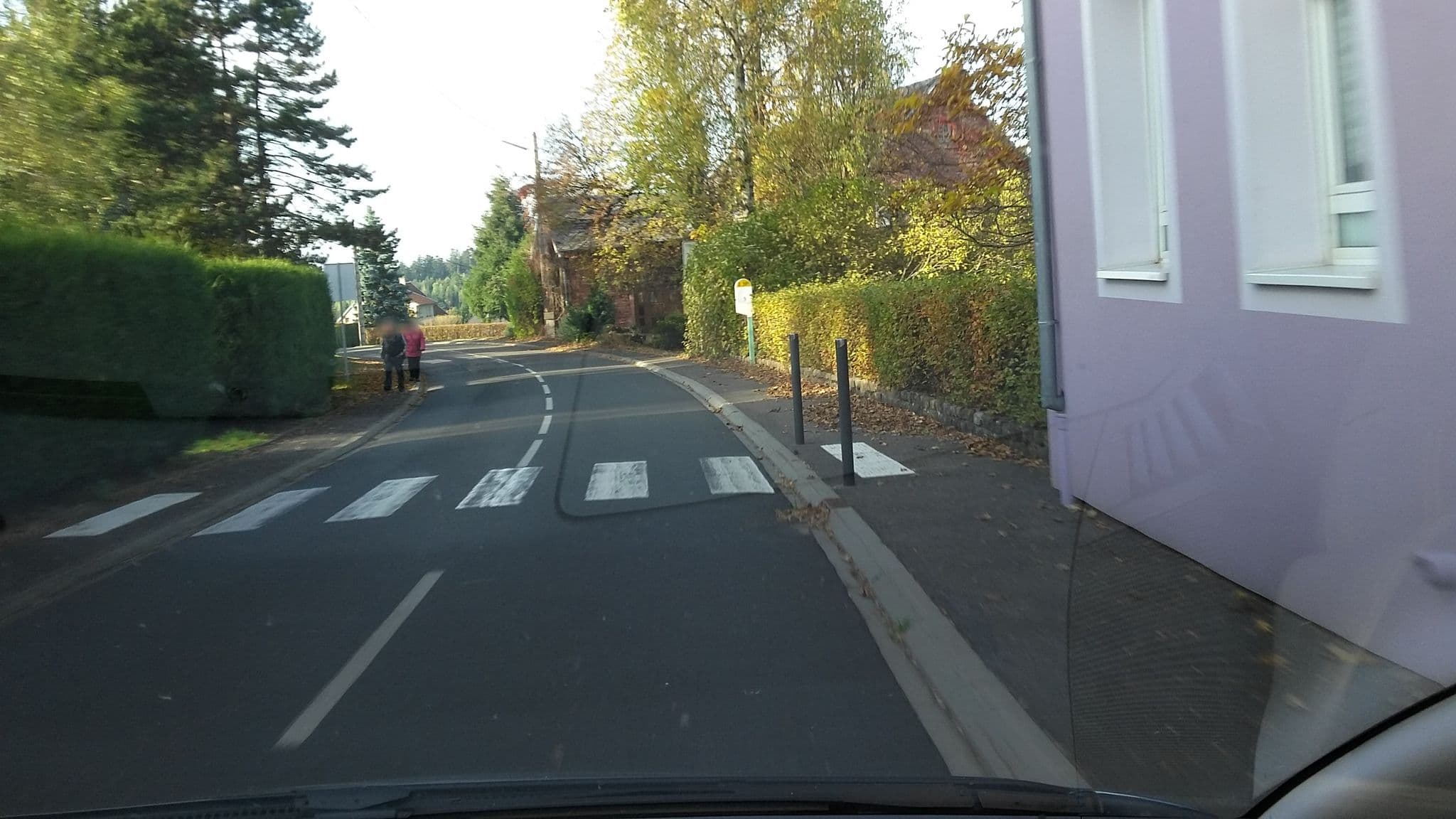 Street view near Les Aliziers, Dabo — © foxandpotatoes (CC BY-SA · Mapillary)