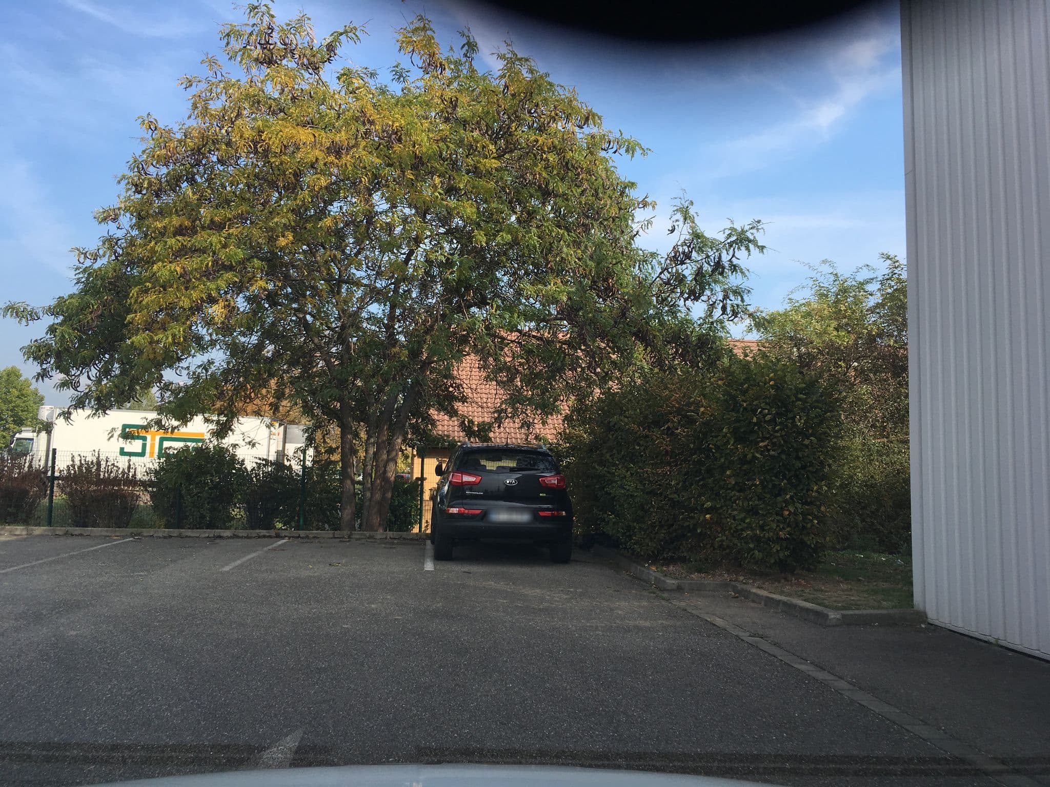 Street view near Hôtel Restaurant Campanile Colmar Aéroport, Houssen — © mappy_sa (CC BY-SA · Mapillary)