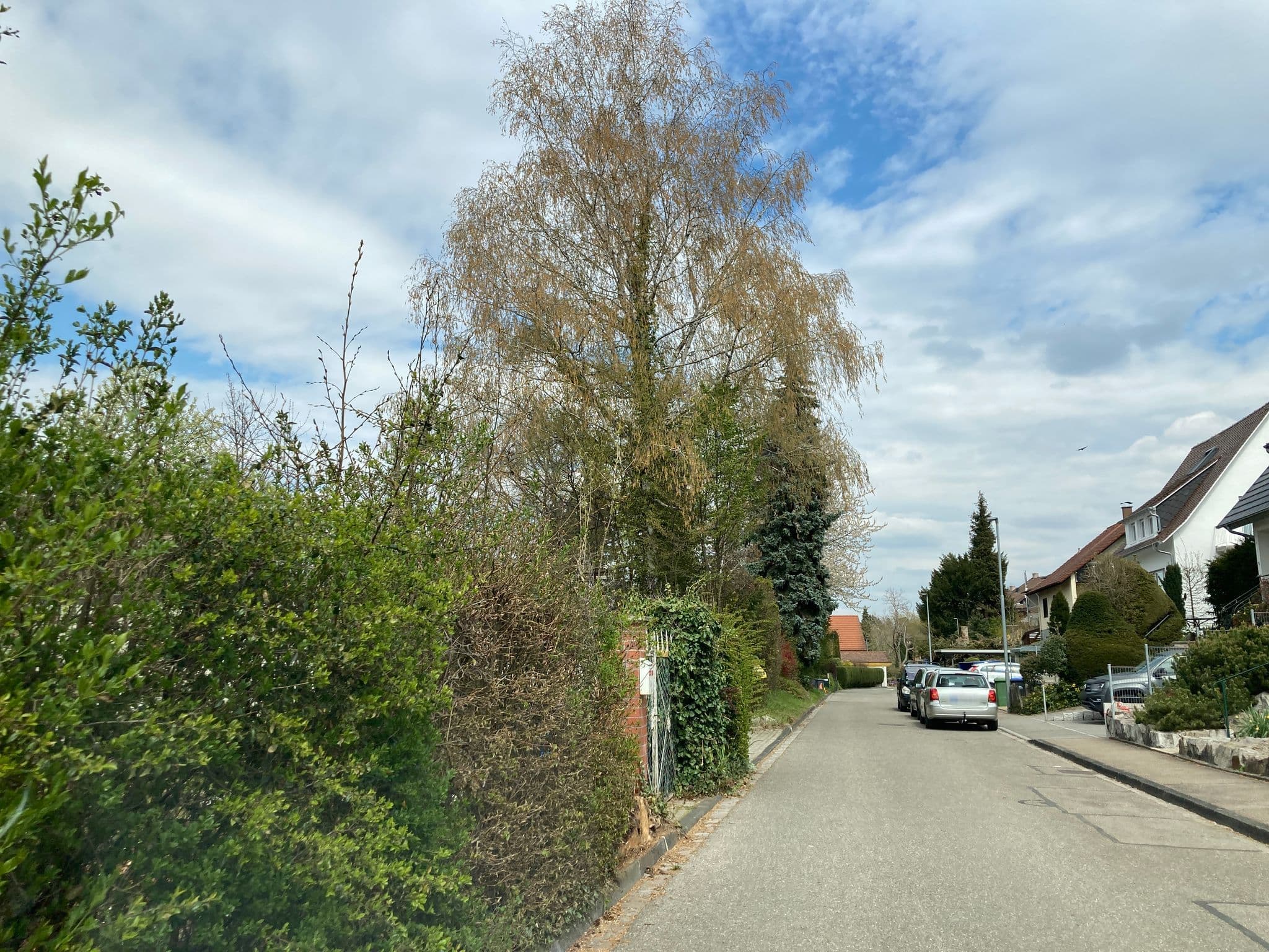 Street view near Ströbele, Müllheim — © tasmaniadevil (CC BY-SA · Mapillary)
