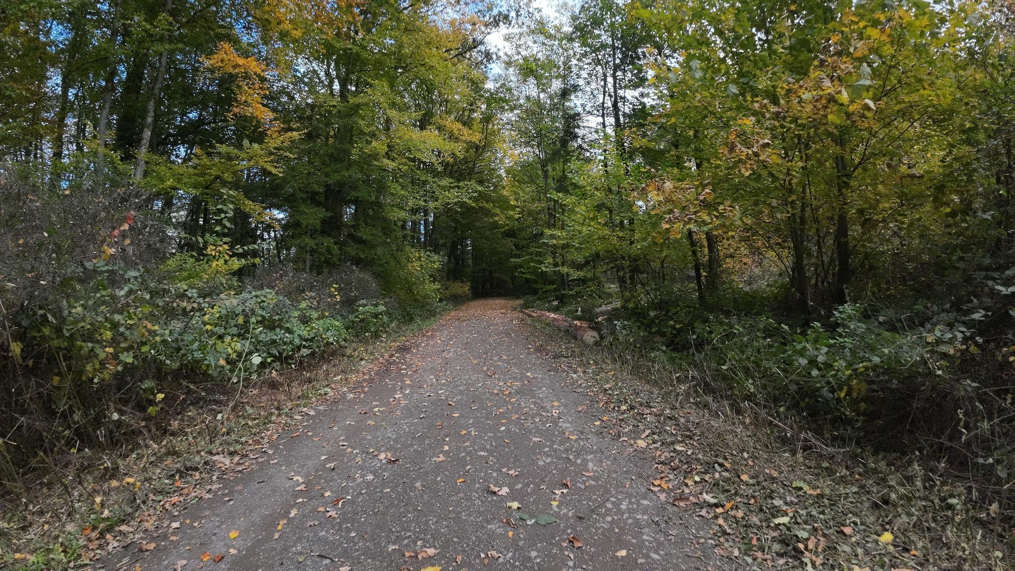 Street view near Hotel Aulmann, Mainzweiler — © teddy73 (CC BY-SA · Mapillary)
