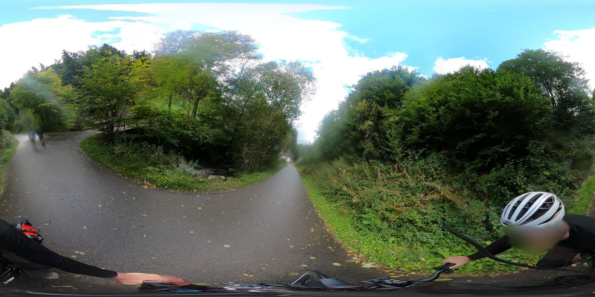Street view near Schwarzwaldhof, Hinterzarten — © RadNETZ (CC BY-SA · Mapillary)