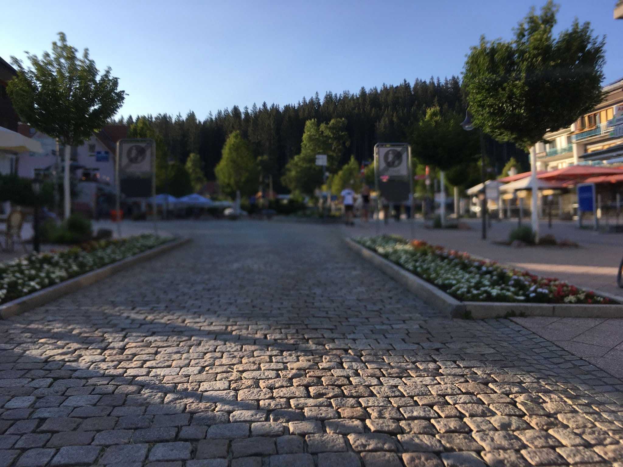 Street view near Haus Seestern, Hinterzarten — © changchun1 (CC BY-SA · Mapillary)