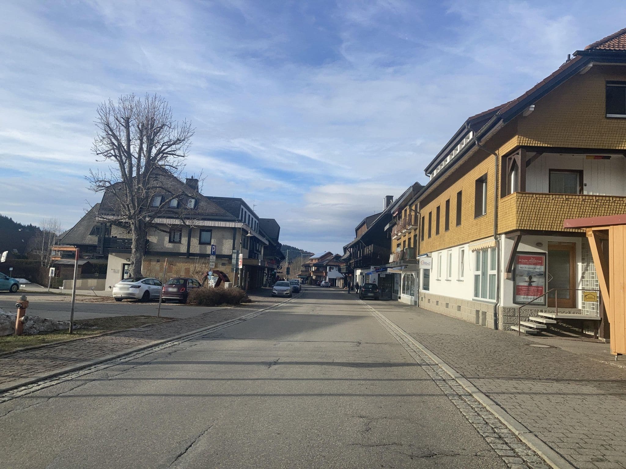 Street view near Kuckucksnester, Hinterzarten — © tasmaniadevil (CC BY-SA · Mapillary)