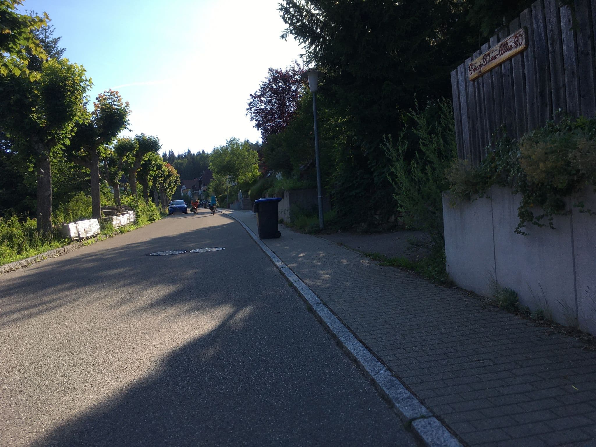 Street view near Haus Reineck, Friedenweiler — © changchun1 (CC BY-SA · Mapillary)