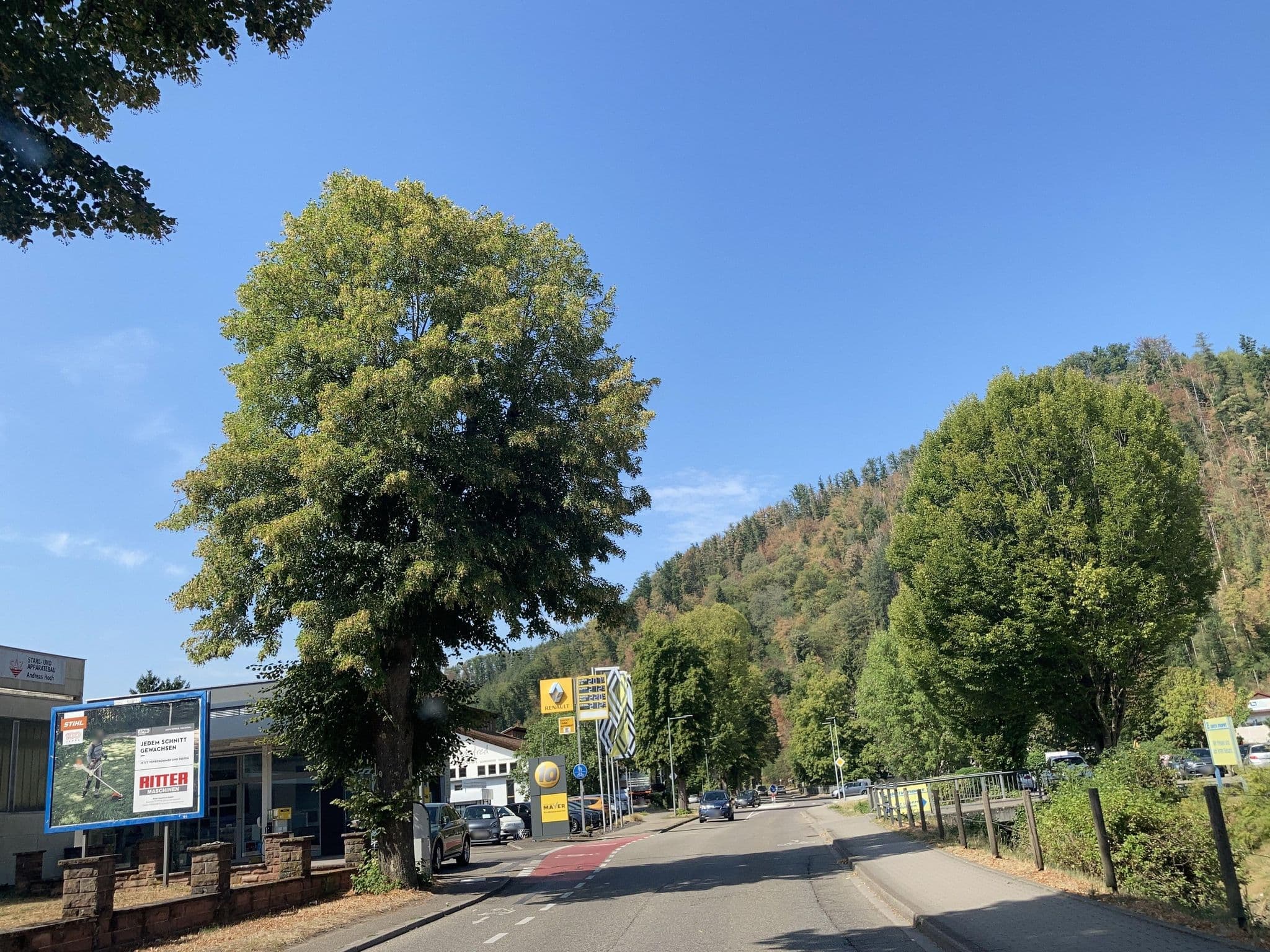 Street view near Hotel Klosterbräustuben, Biberach — © tasmaniadevil (CC BY-SA · Mapillary)