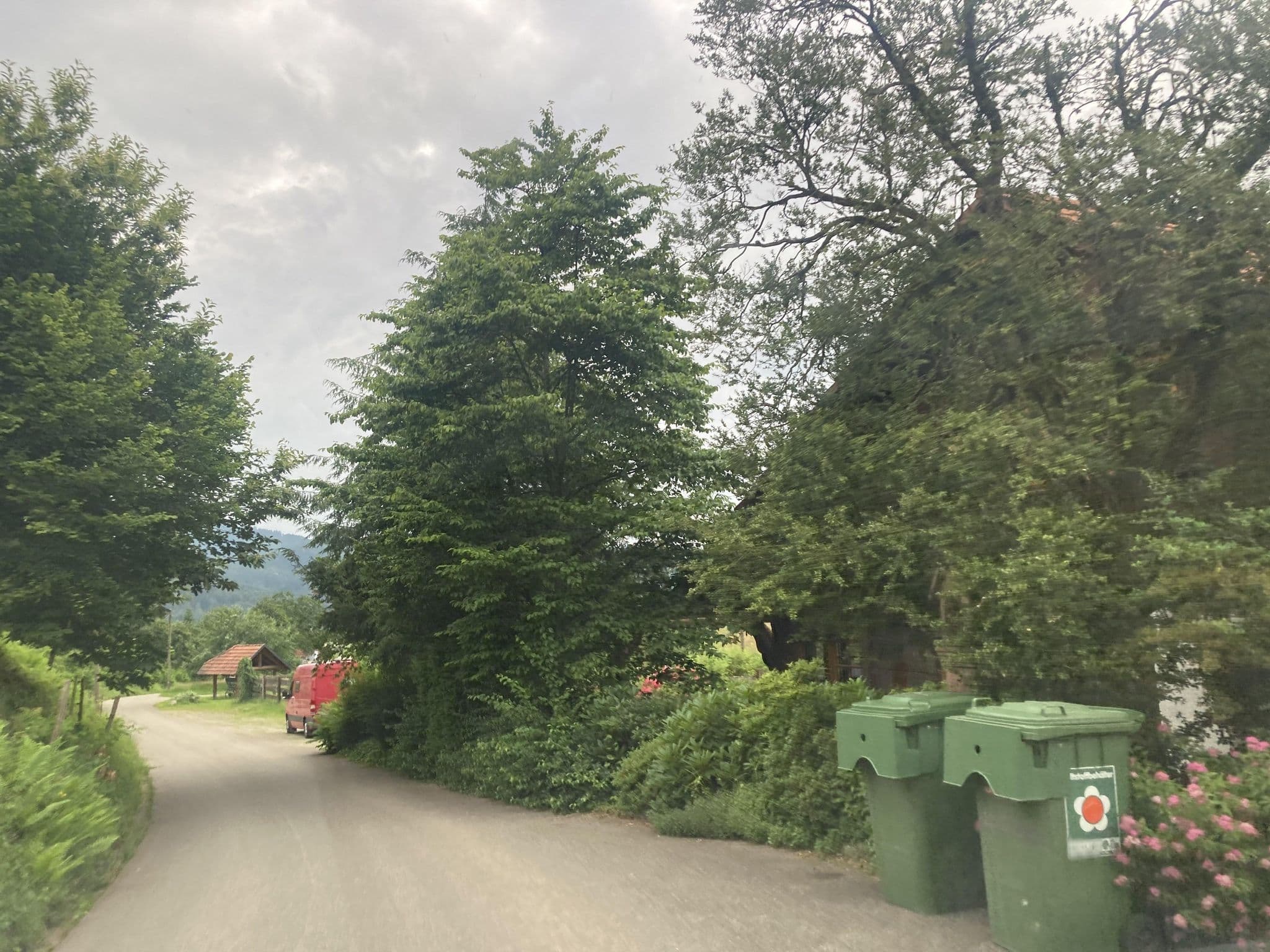 Street view near Zapf Josef Ferienhof, Gengenbach — © tasmaniadevil (CC BY-SA · Mapillary)