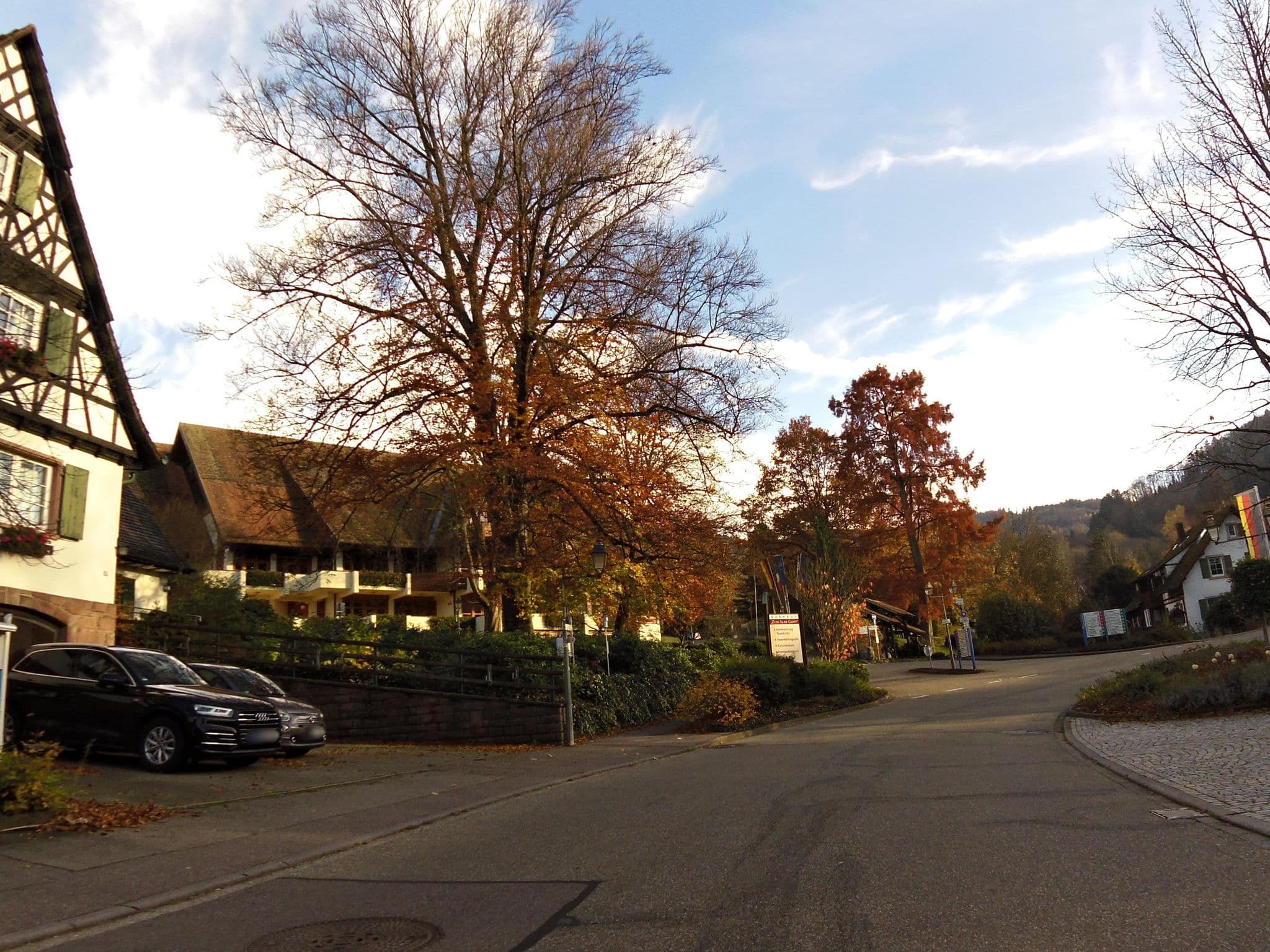 Street view near Ferienhaus Am Keschtebaum, Sasbachwalden — © fell3 (CC BY-SA · Mapillary)