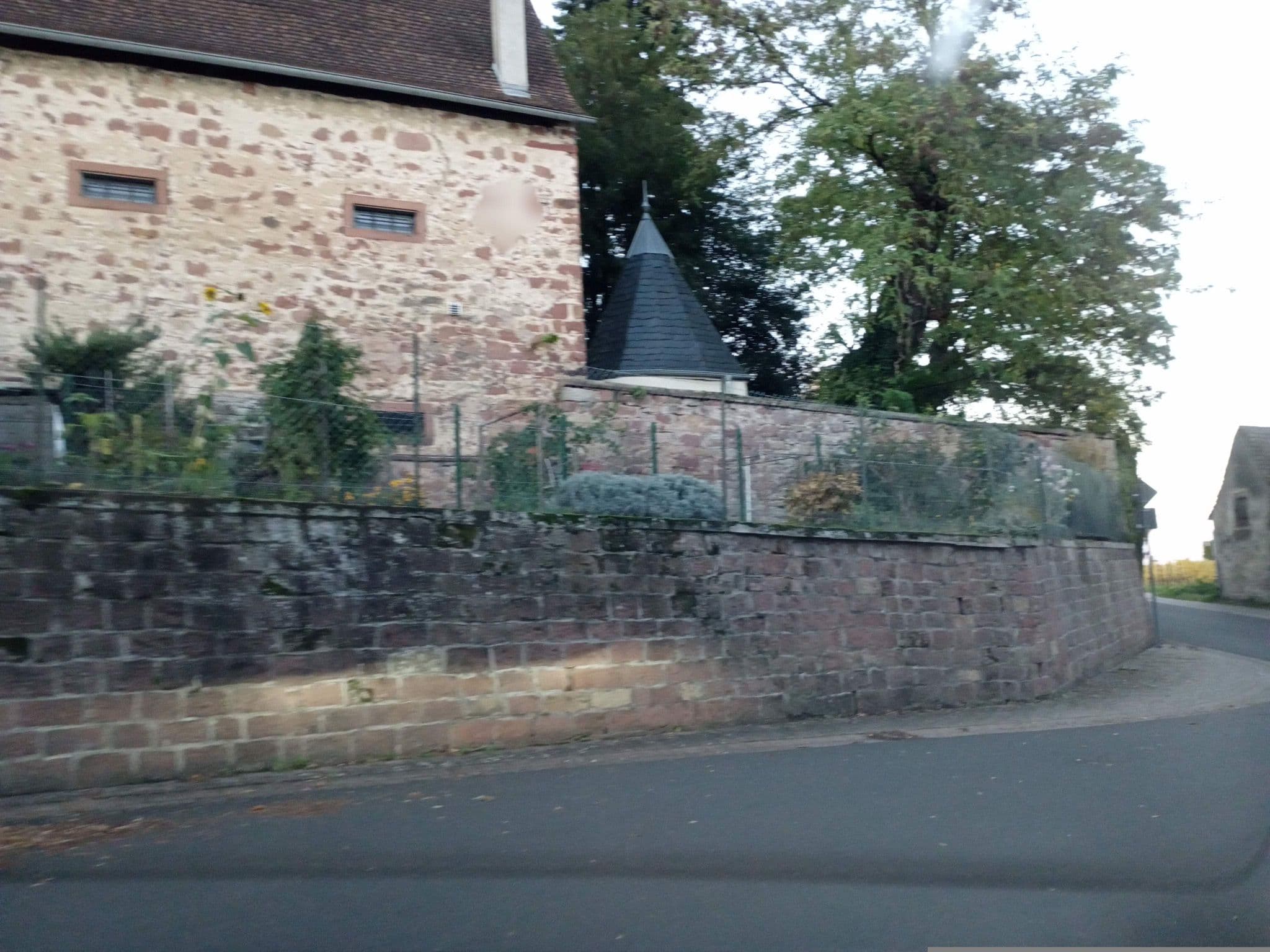 Street view near Magnolia, Albersweiler — © atze02 (CC BY-SA · Mapillary)