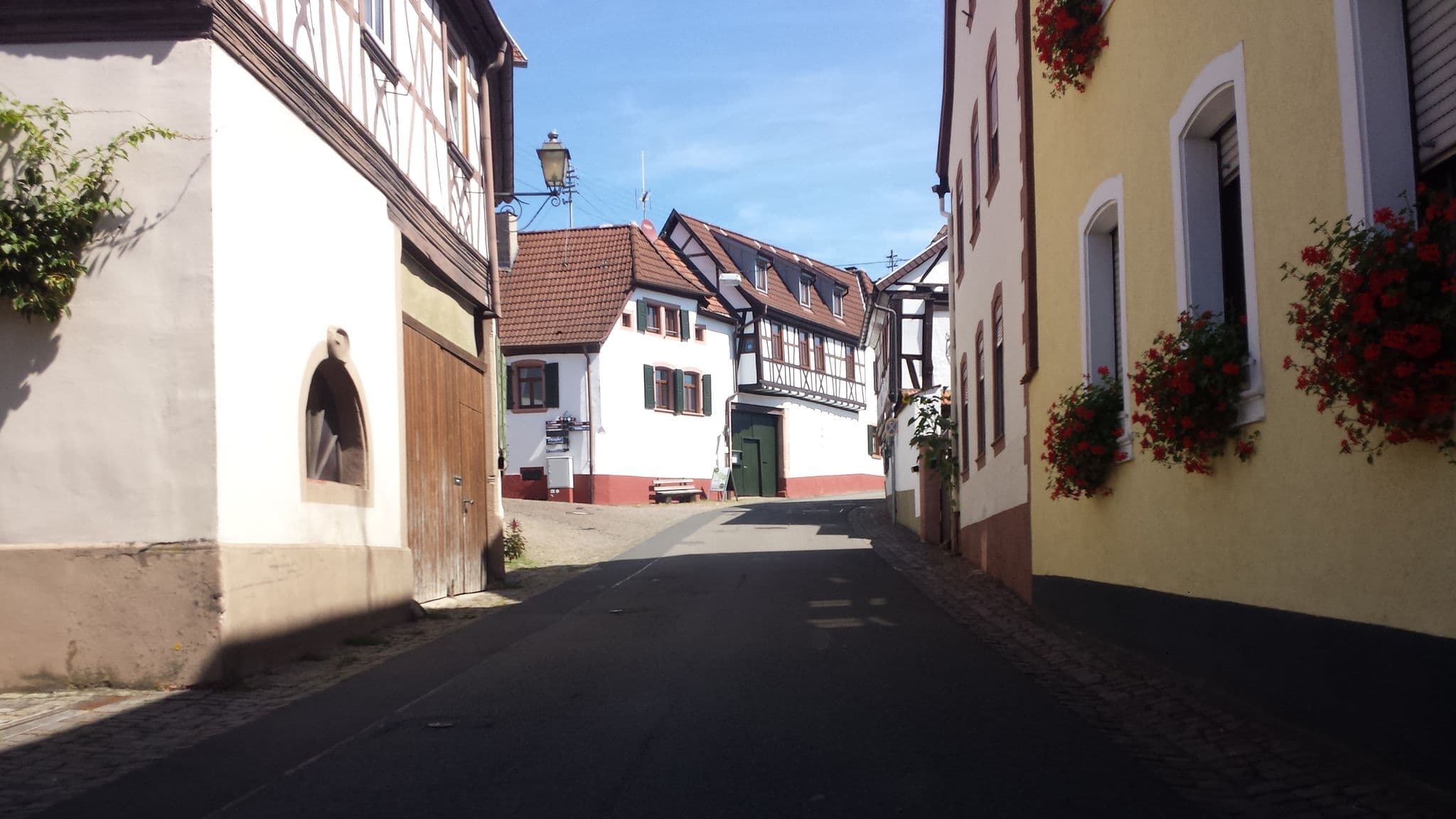 Street view near Hotel Rebmann, Ilbesheim — © wegavision (CC BY-SA · Mapillary)