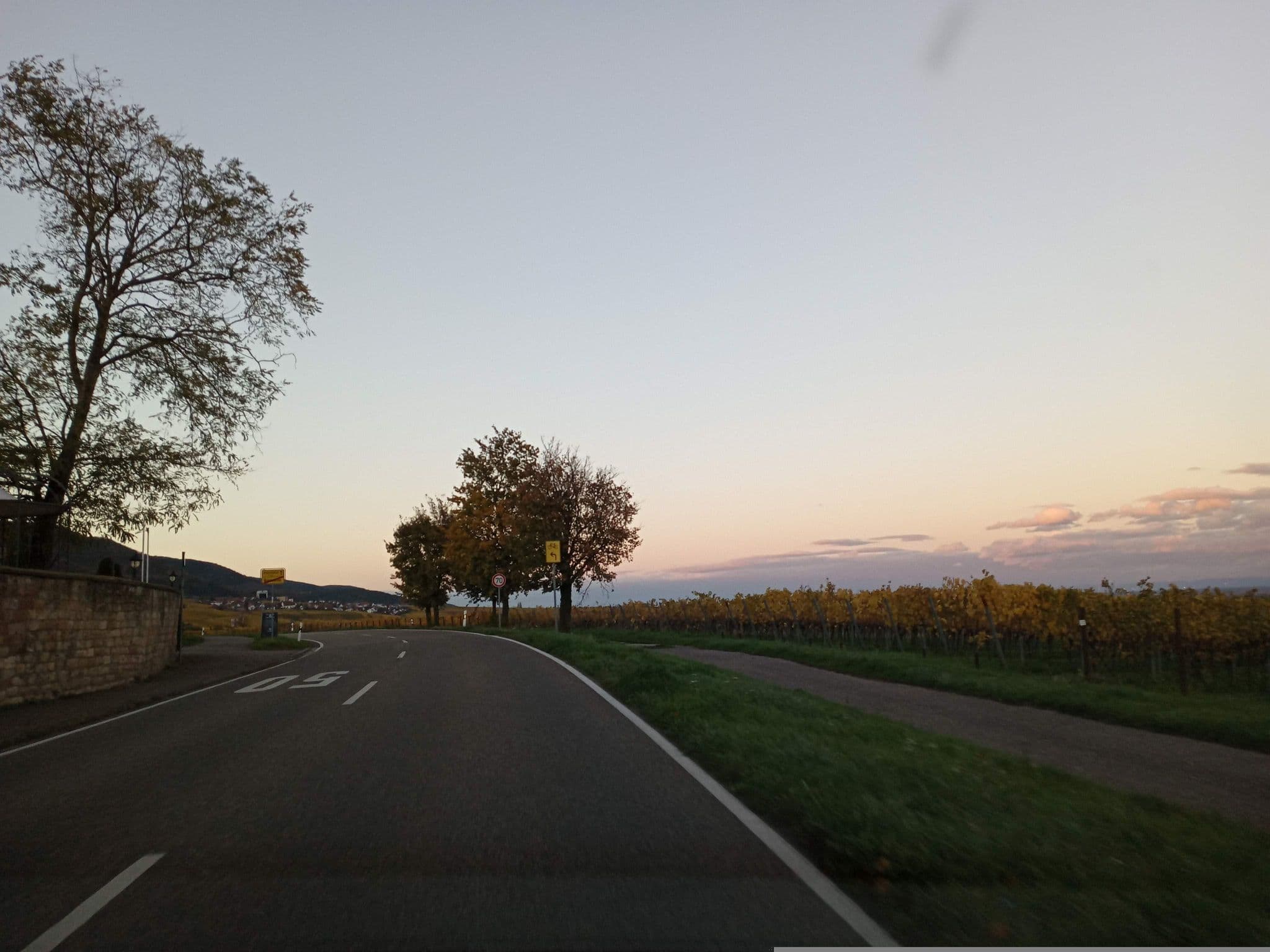 Street view near Familie Maser, Rhodt unter Rietburg — © atze02 (CC BY-SA · Mapillary)
