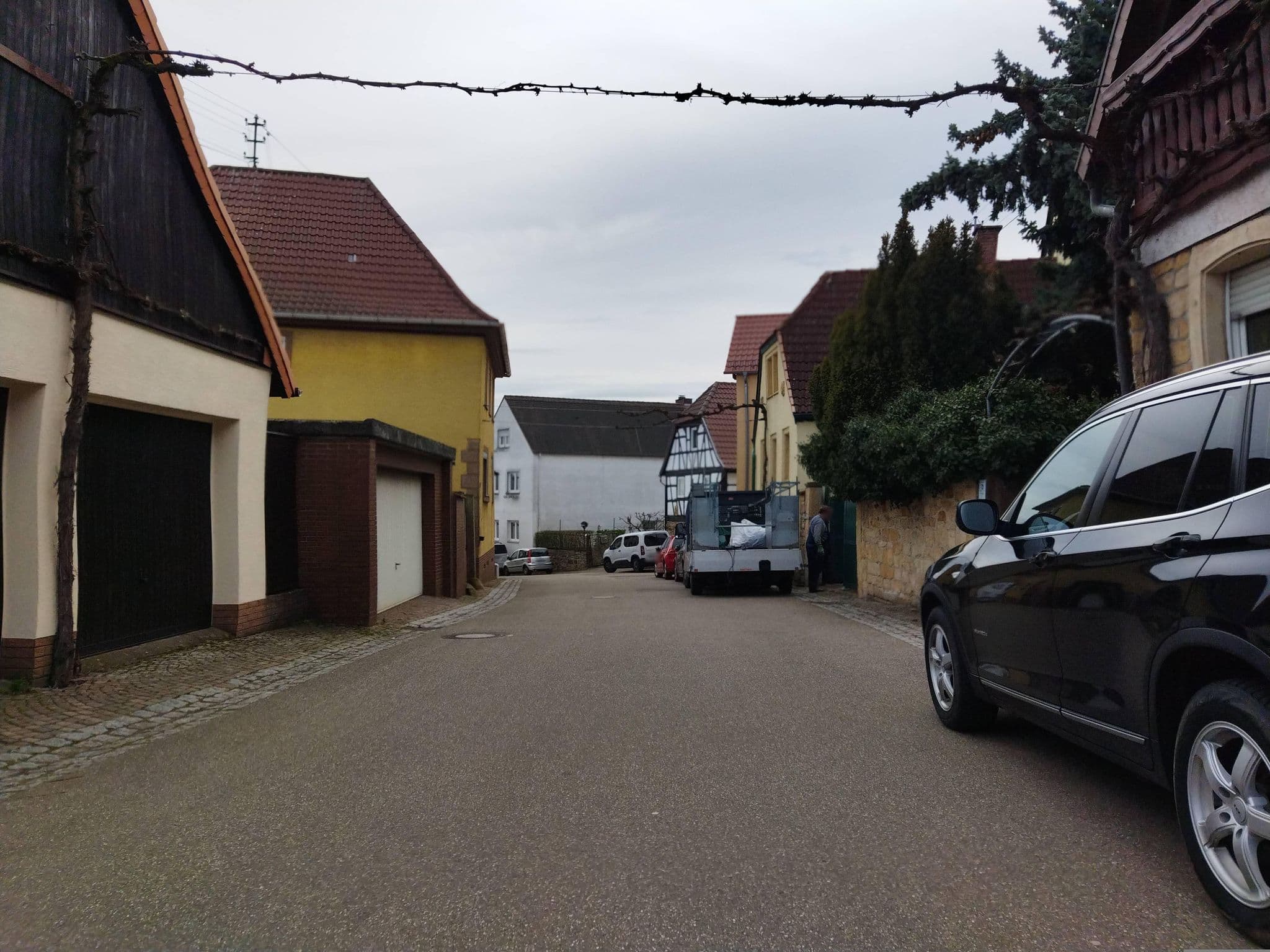 Street view near Kurt Kräußle, Albersweiler — © changchun1 (CC BY-SA · Mapillary)