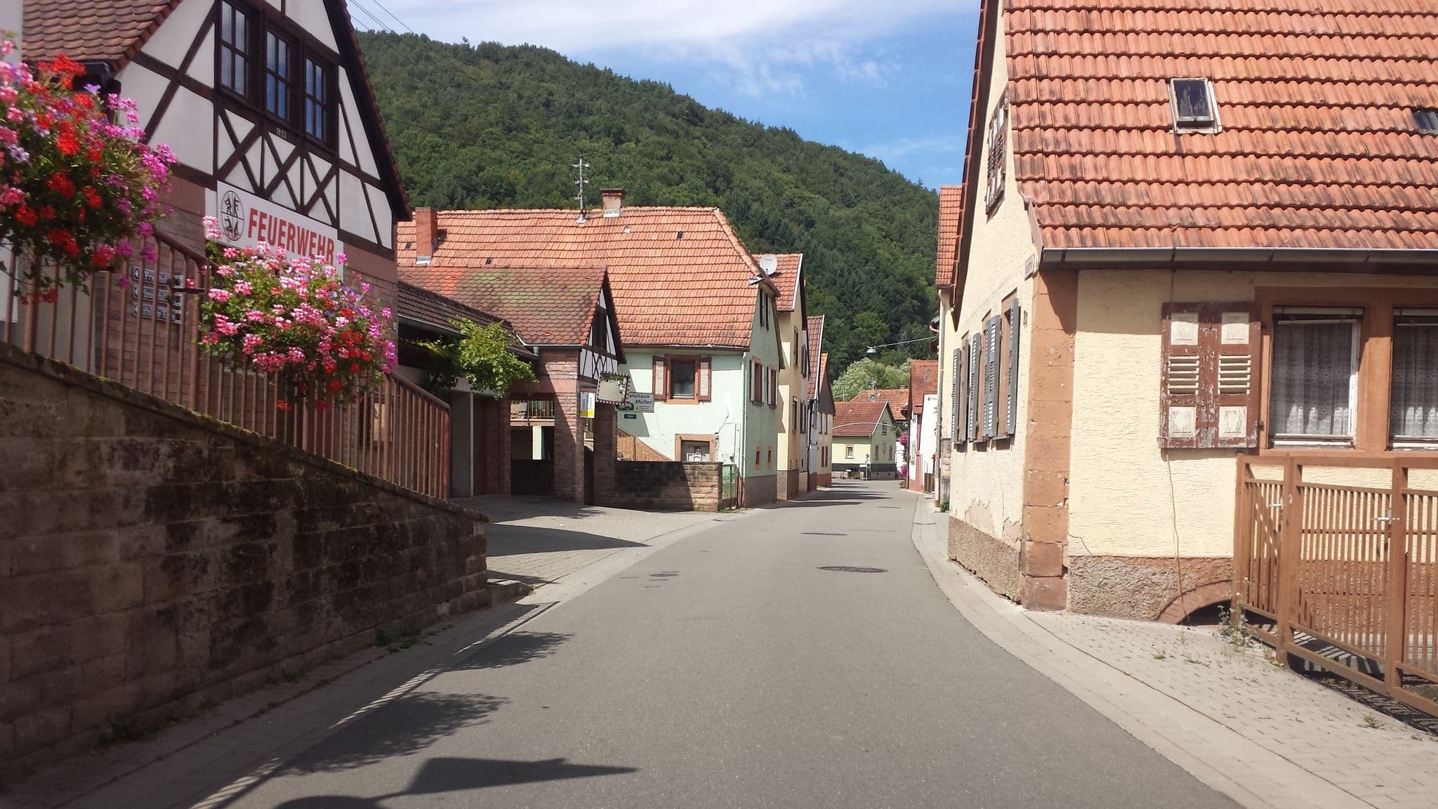 Street view near Robert Müller, Ramberg — © wegavision (CC BY-SA · Mapillary)