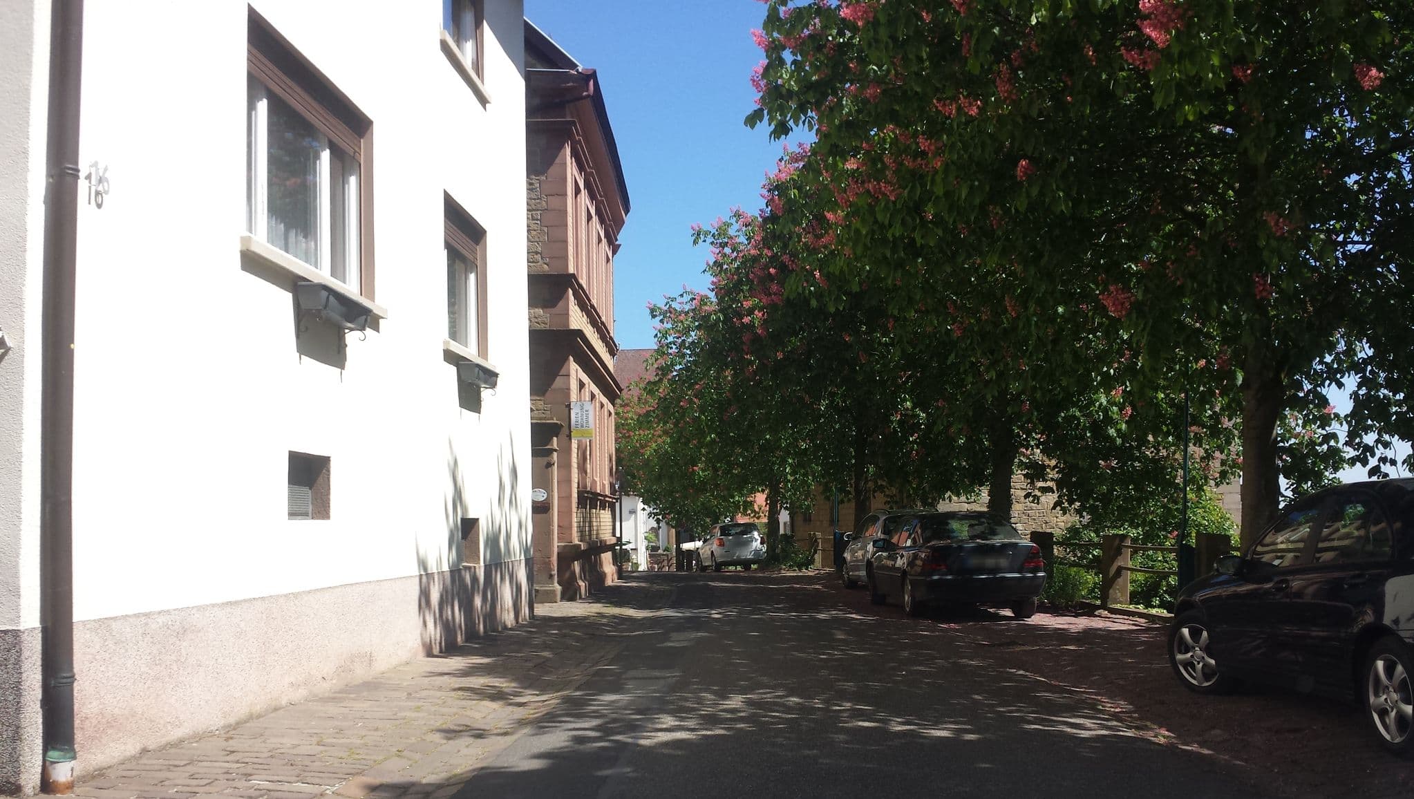 Street view near Beyersdoerfer, Albersweiler — © wegavision (CC BY-SA · Mapillary)